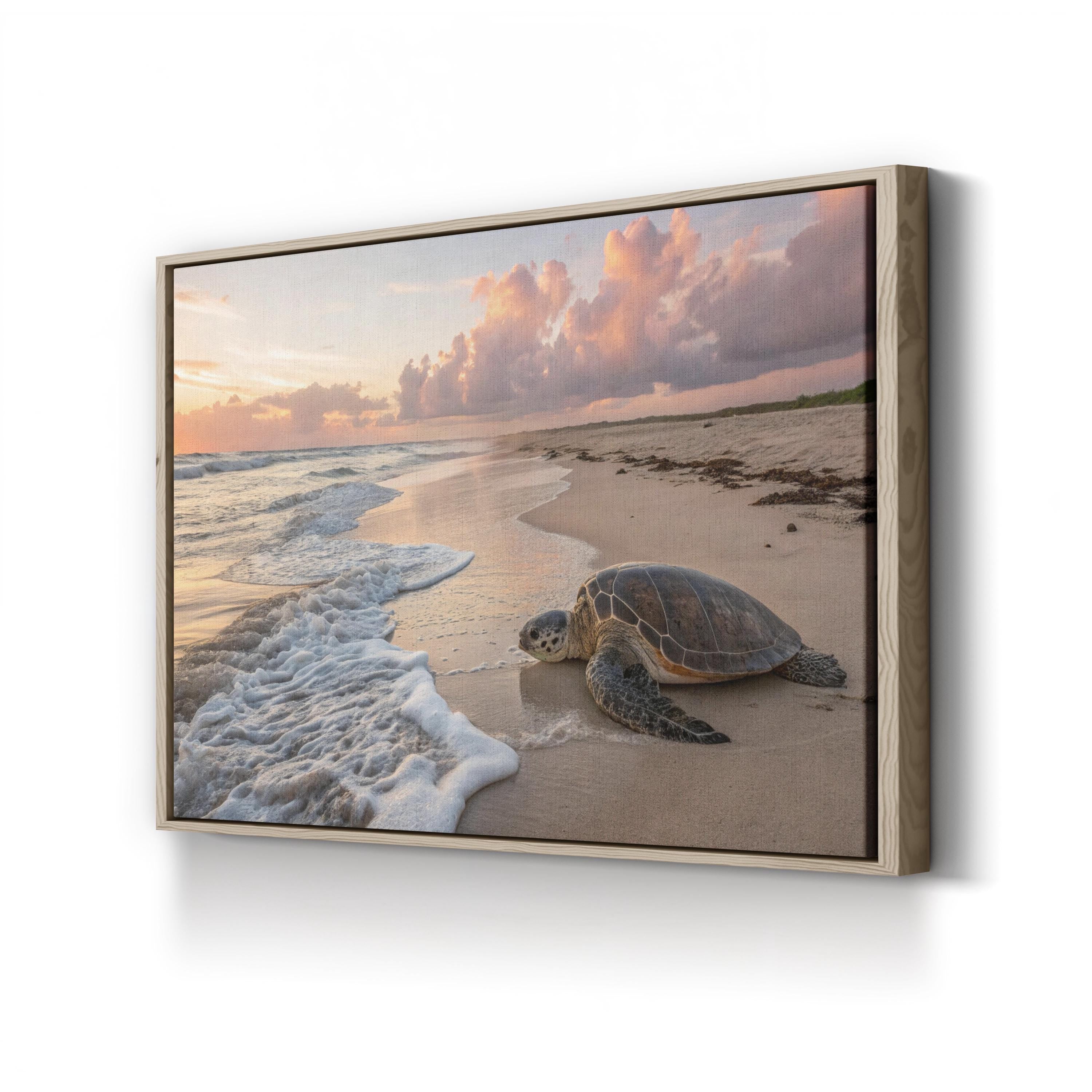 Sea Turtle Migration Season Sunset, Maui Hawaii Beach: Coastal Wildlife Photography