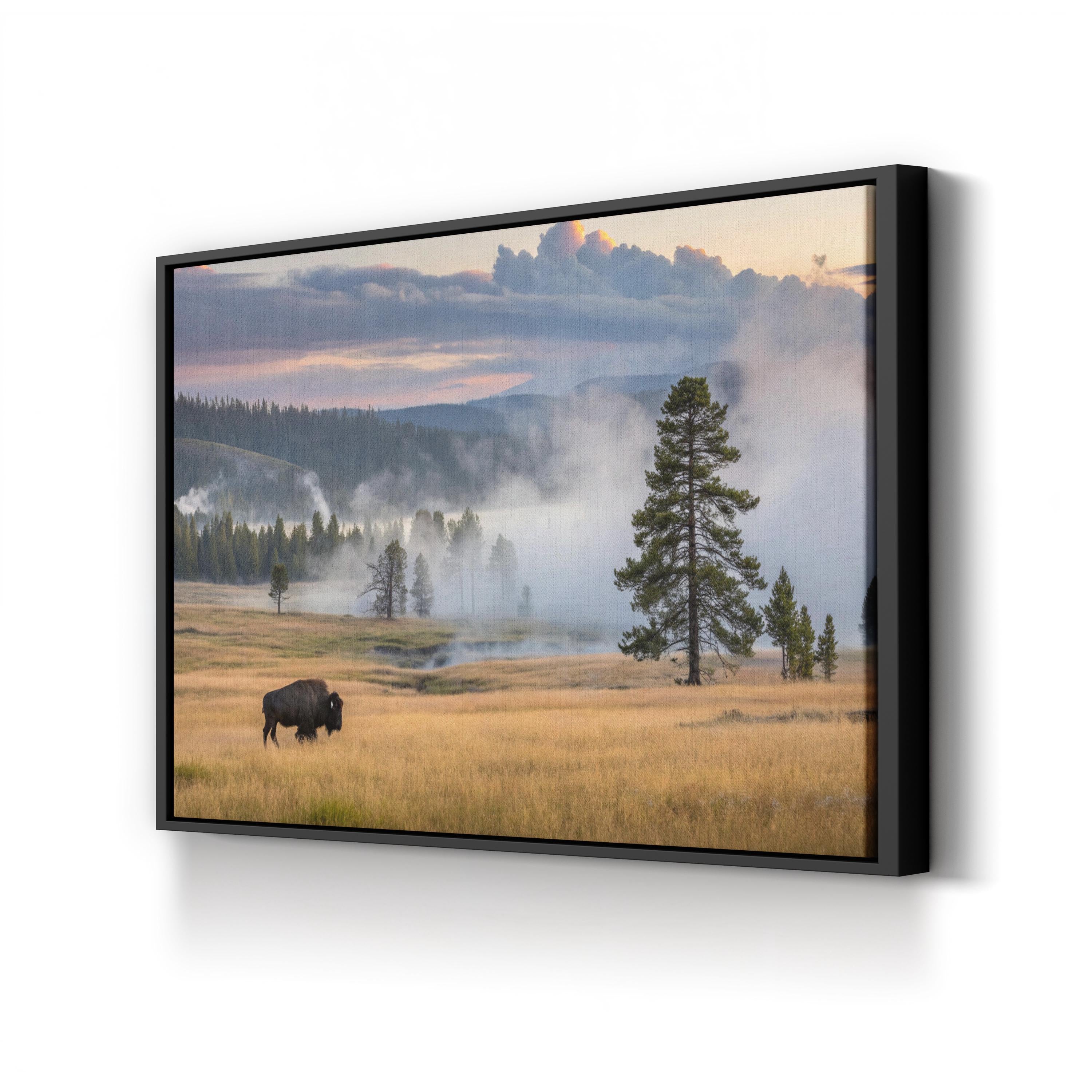 Yellowstone Bison at Dawn – Vintage Photography Wall Art | Western Wildlife Canvas Print
