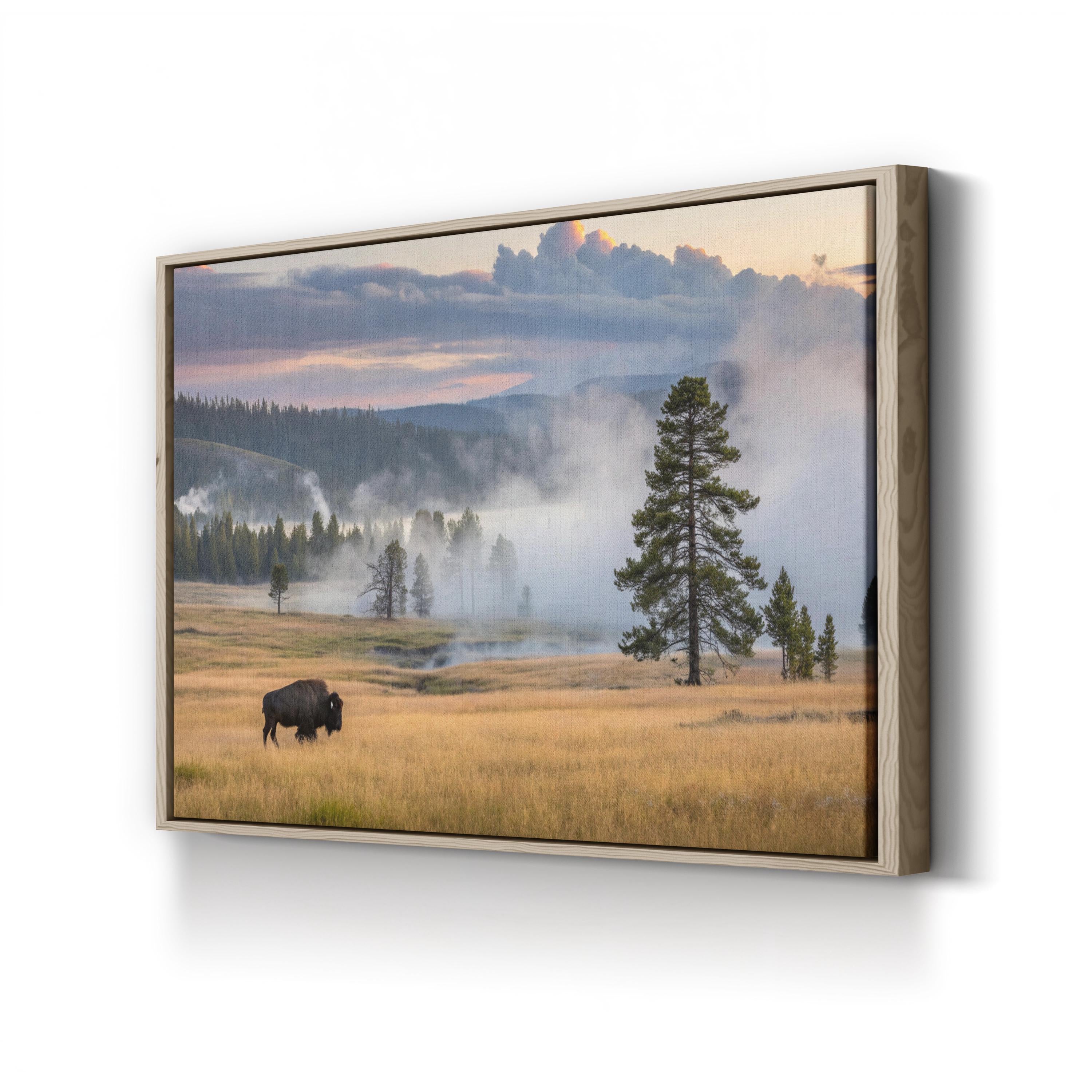 Yellowstone Bison at Dawn – Vintage Photography Wall Art | Western Wildlife Canvas Print