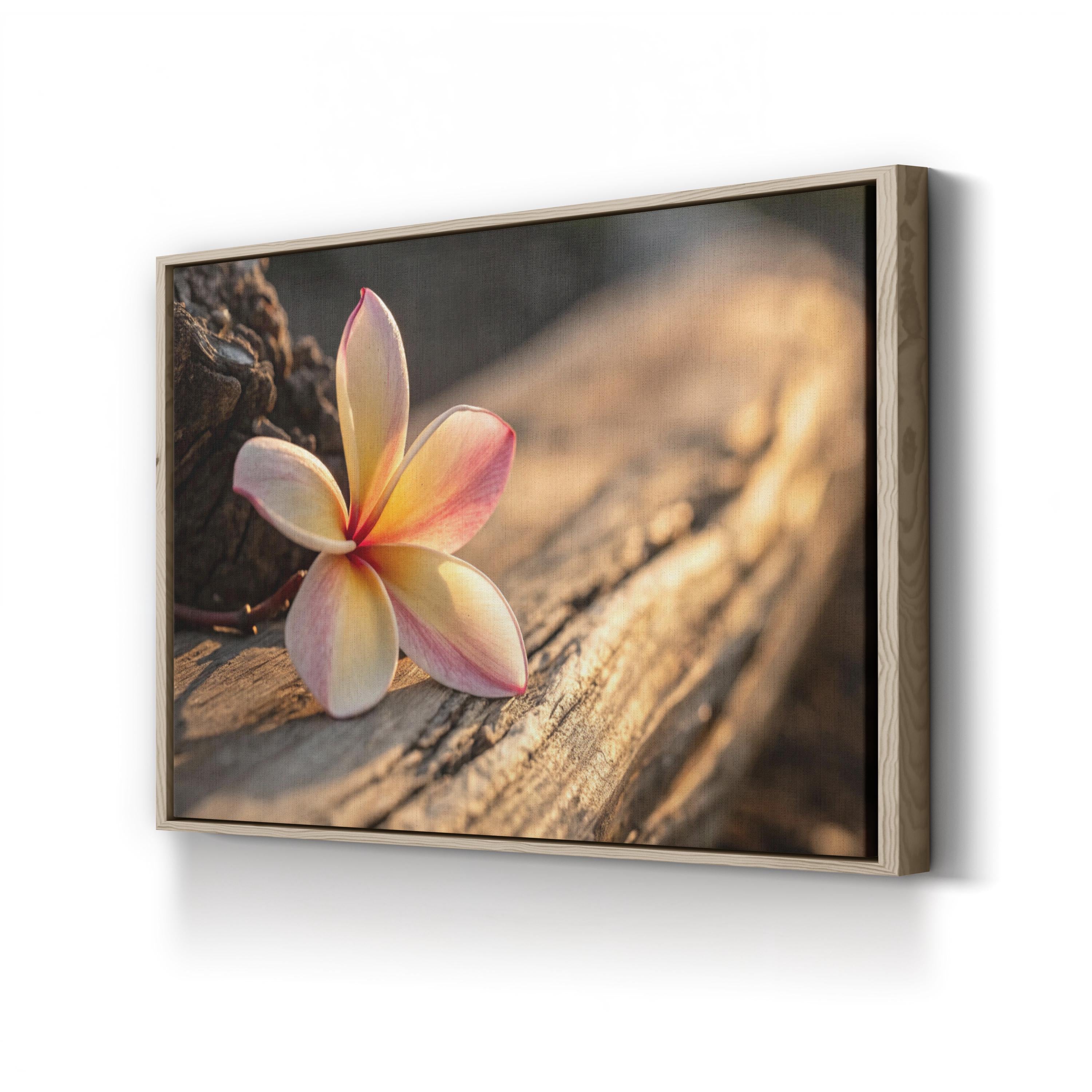 Plumeria Flower – Vintage Photography Wall Art | Tropical Botanical Canvas Print