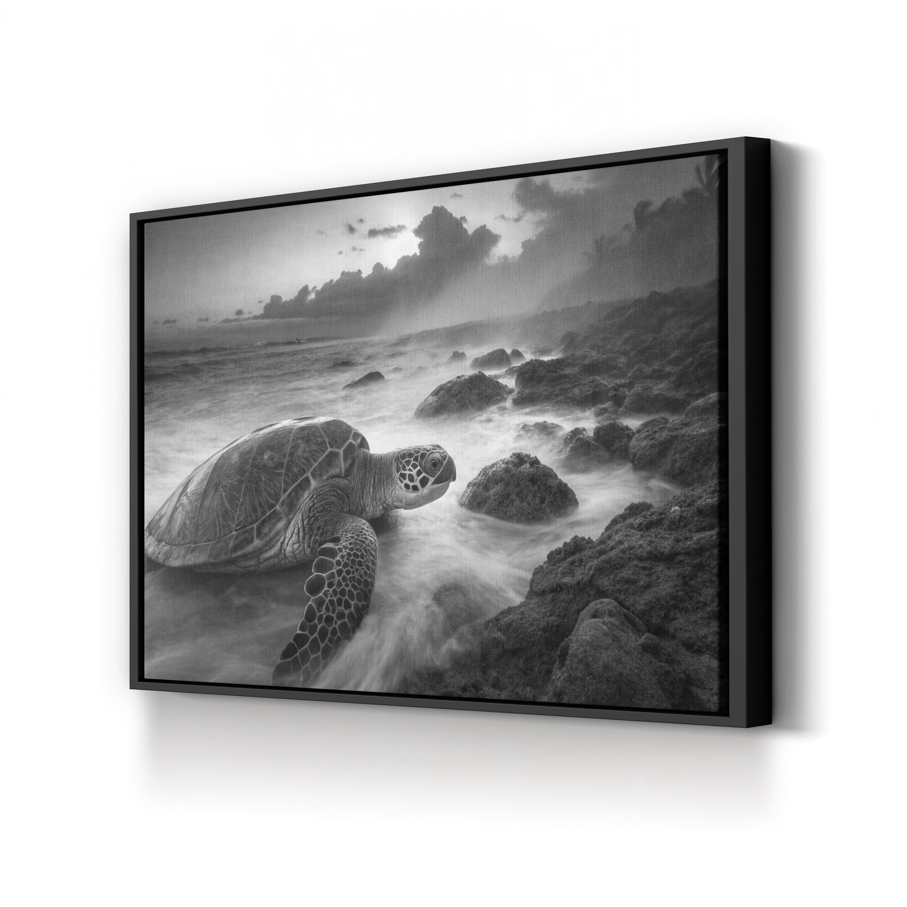 Black & White Sea Turtle – Vintage Photography Wall Art | Coastal Wildlife Canvas Print