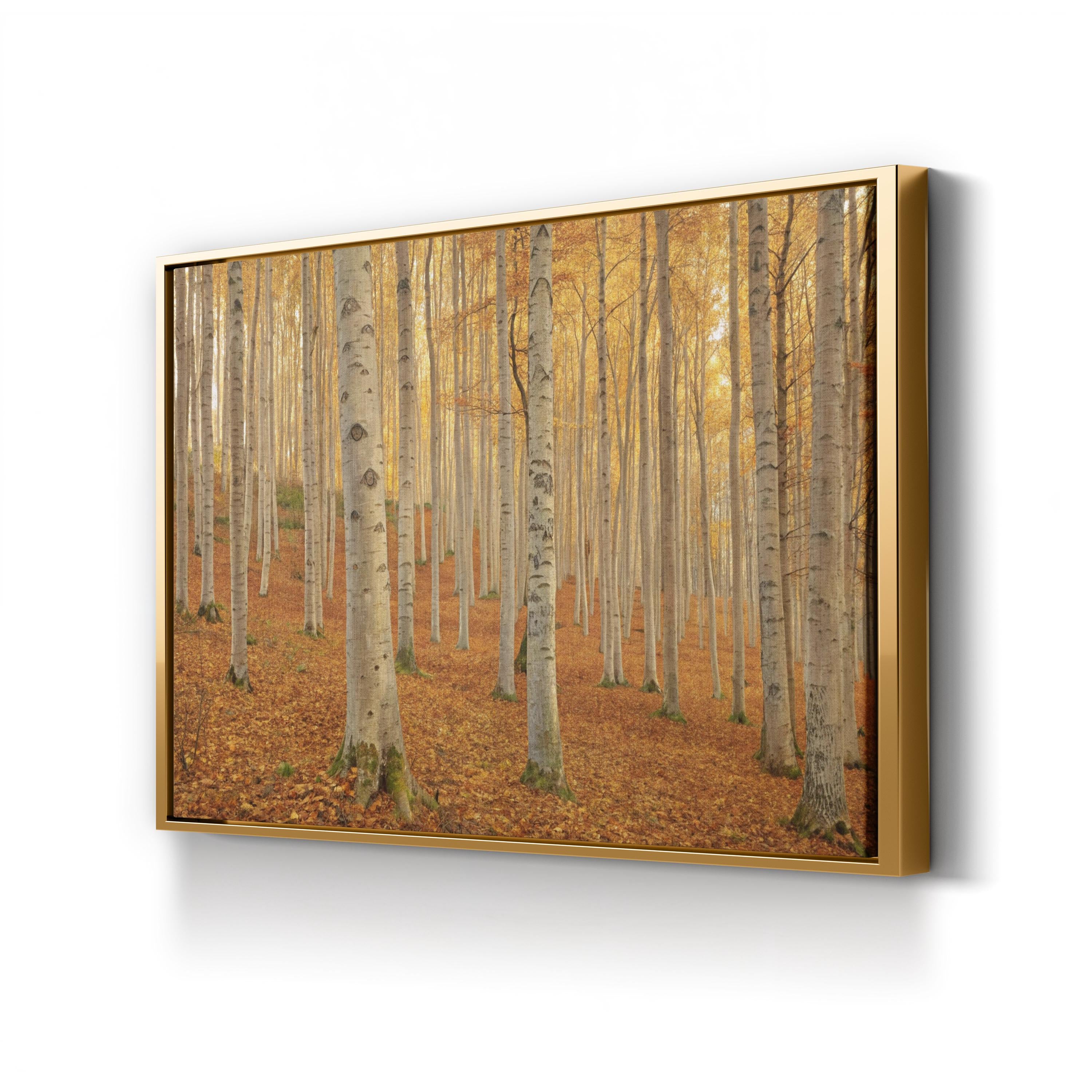 Autumn Beech Grove – Period Illustration Wall Art | Forest Path Canvas Print