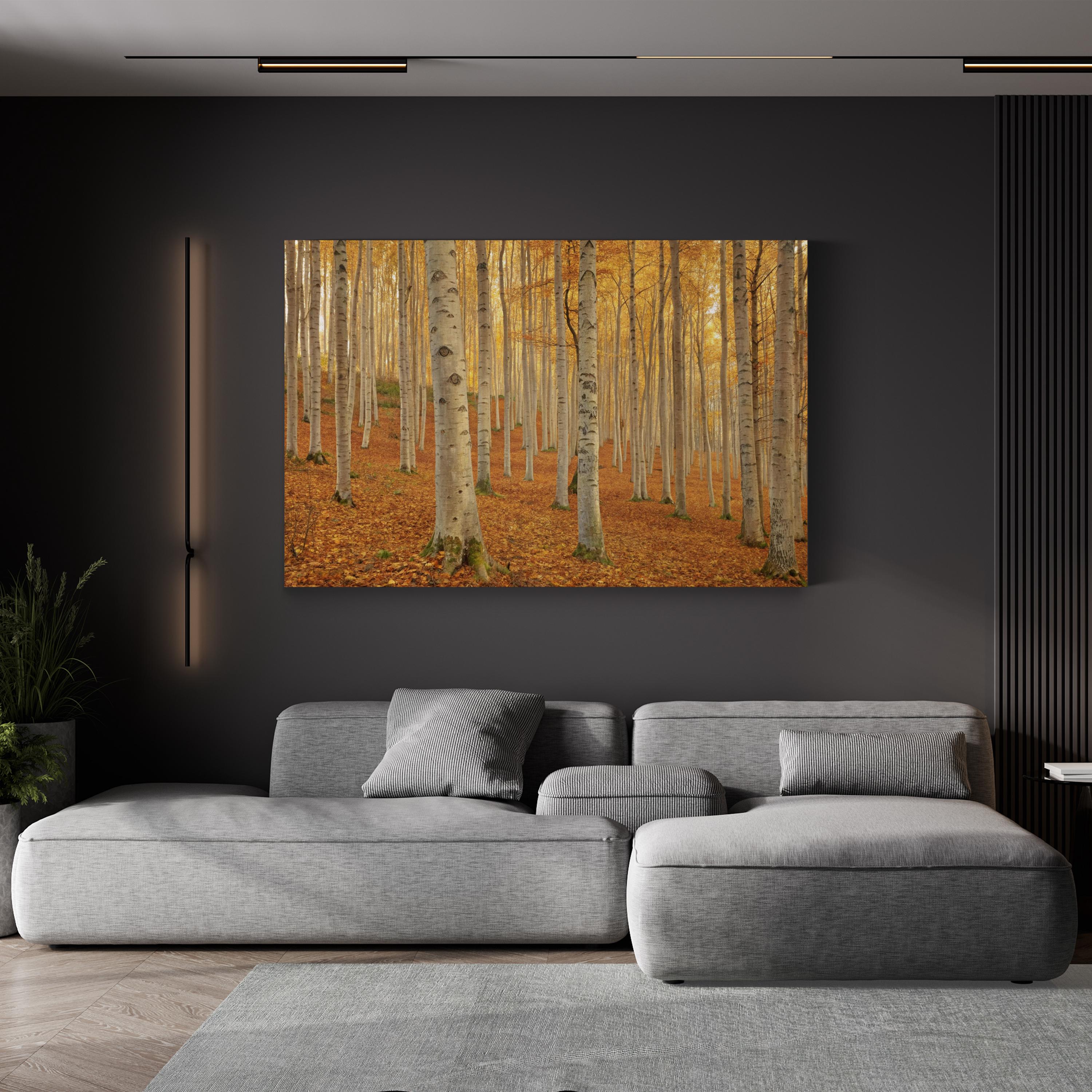 Autumn Beech Grove – Period Illustration Wall Art | Forest Path Canvas Print