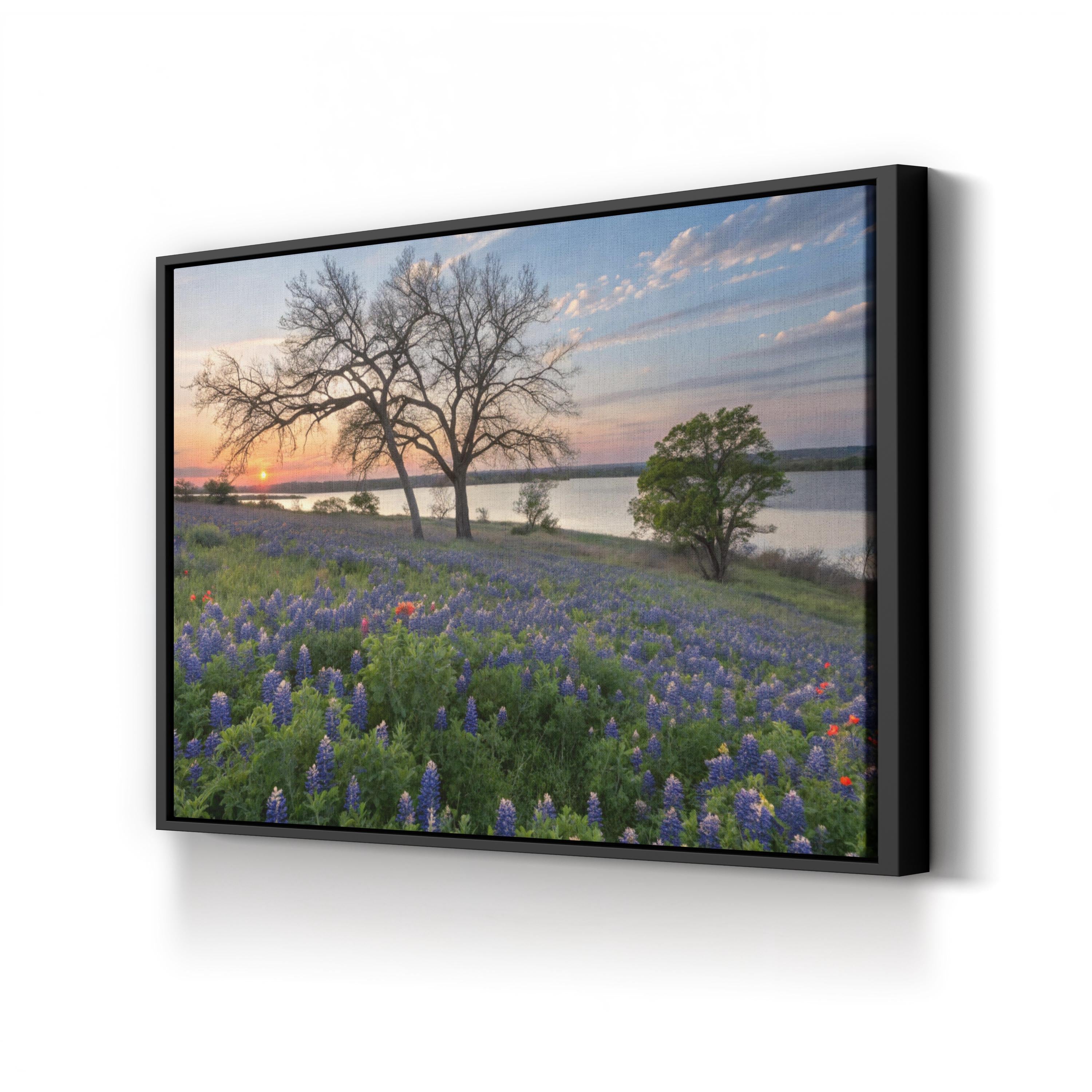 Bluebonnet Wildflower Field Canvas Art: Texas Landscape Painting