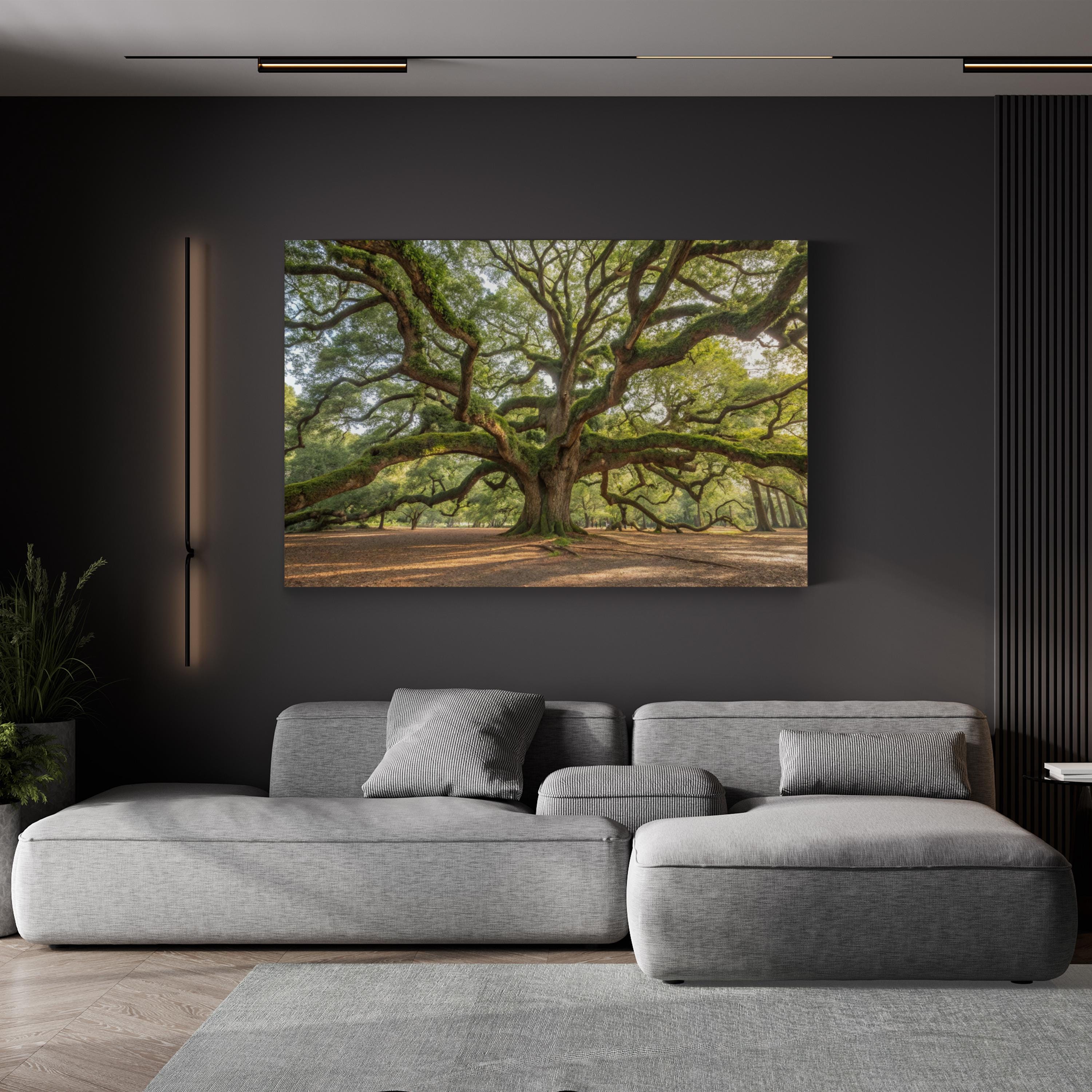 Angel Oak, Charleston, South Carolina Wall Art by Holly Looney – Southern Landscape Photograph