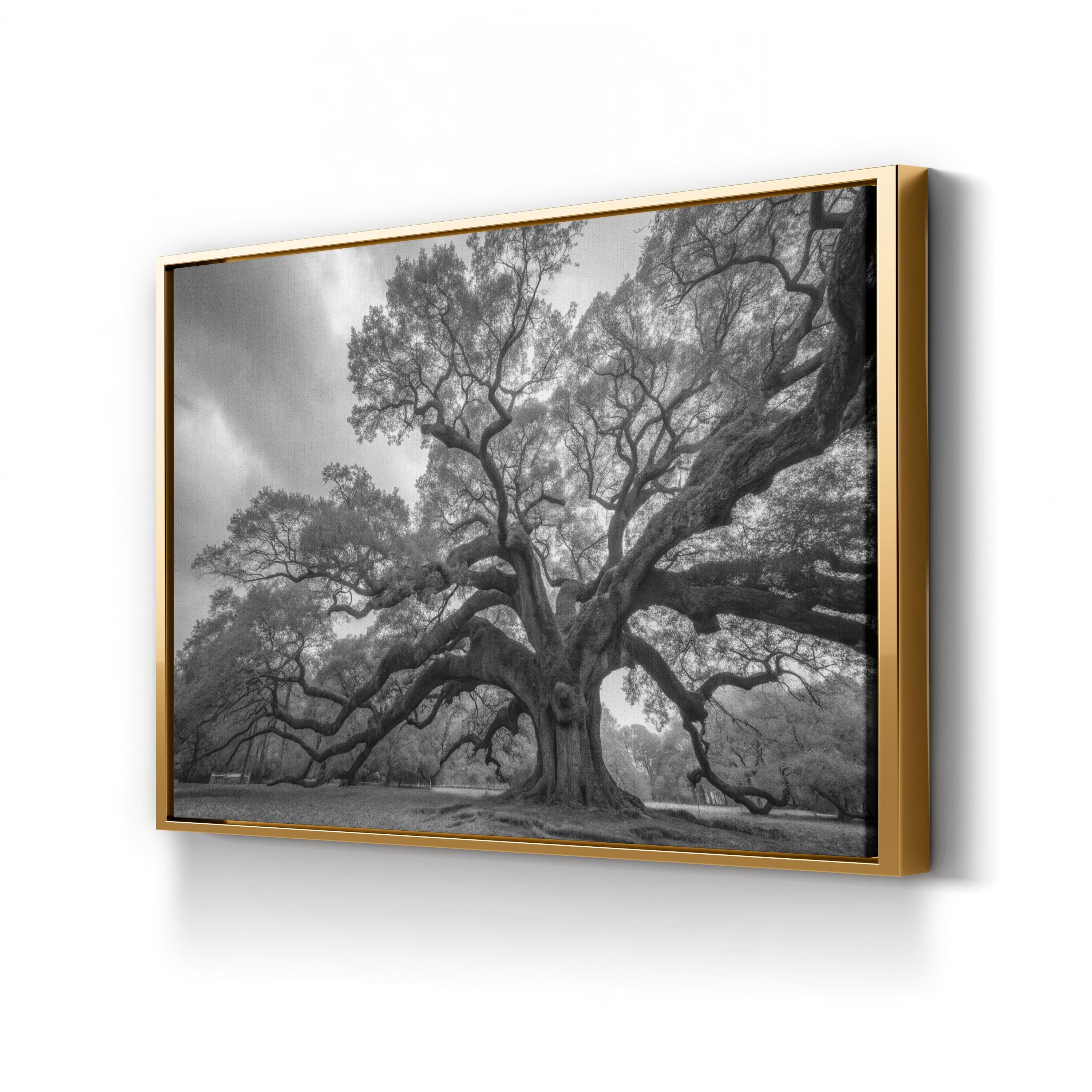 Charleston’s Angel Oak: Monumental Black & White Photography