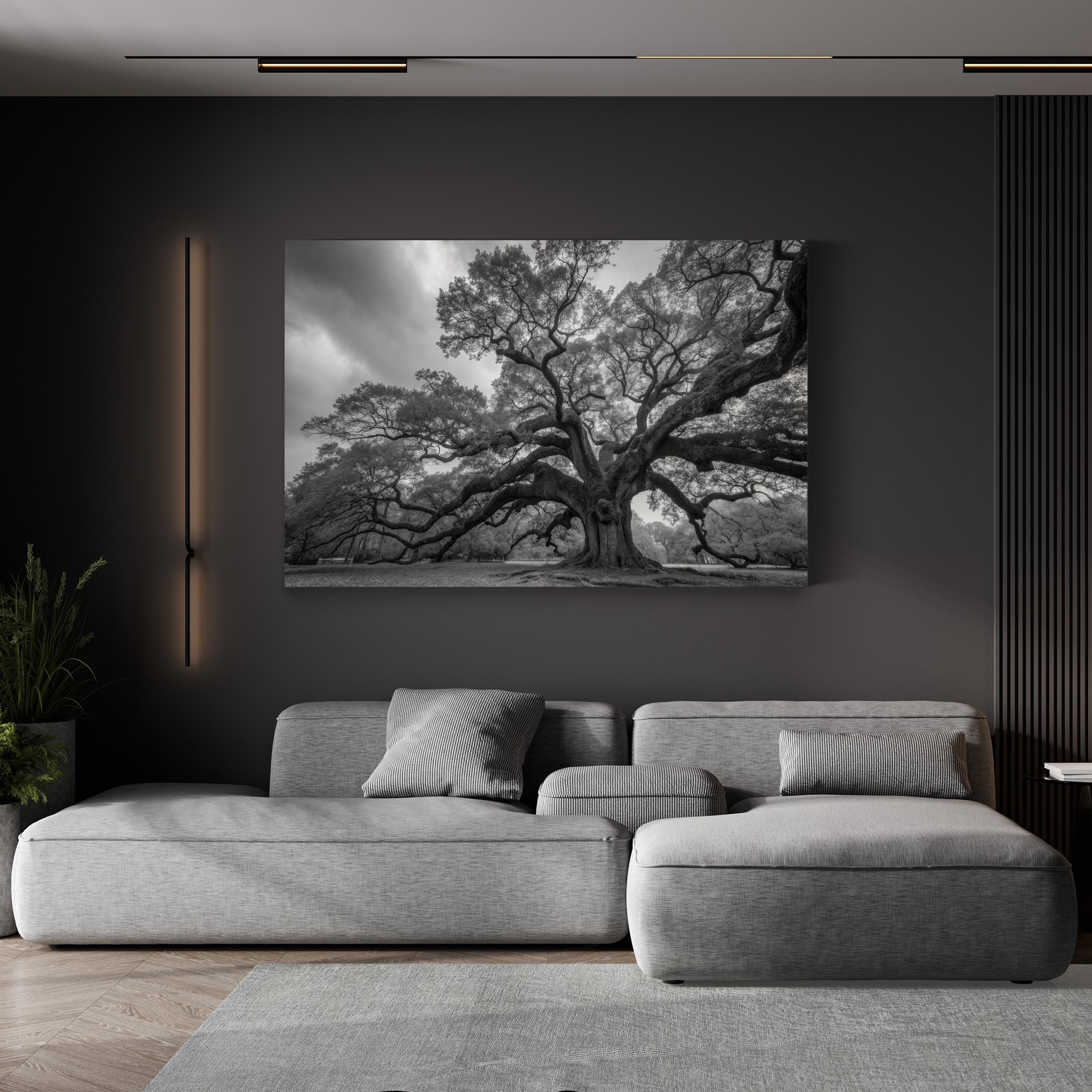 Charleston’s Angel Oak: Monumental Black & White Photography