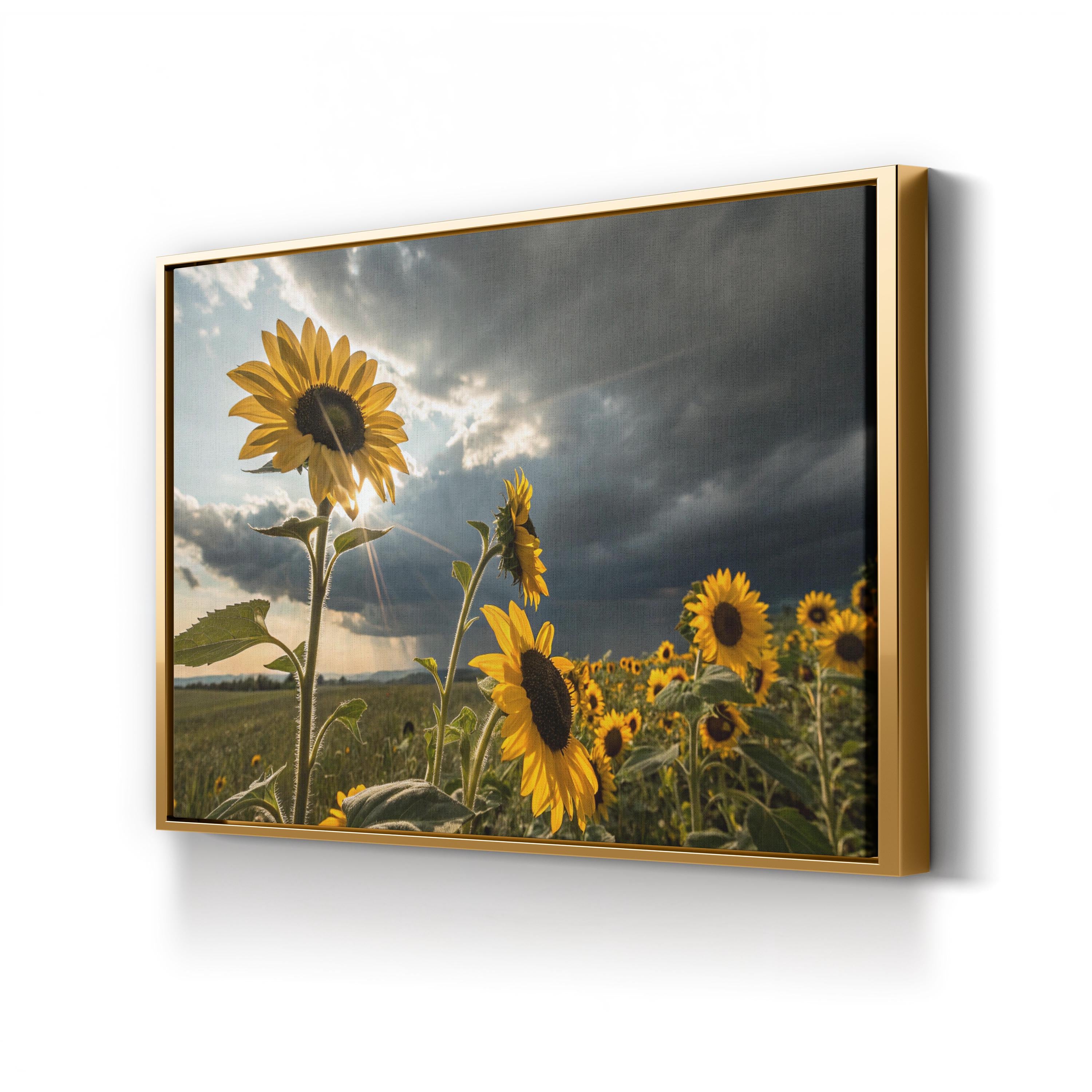Sunflower Field at Dusk – Vintage Photography Wall Art | Dramatic Landscape Canvas Print