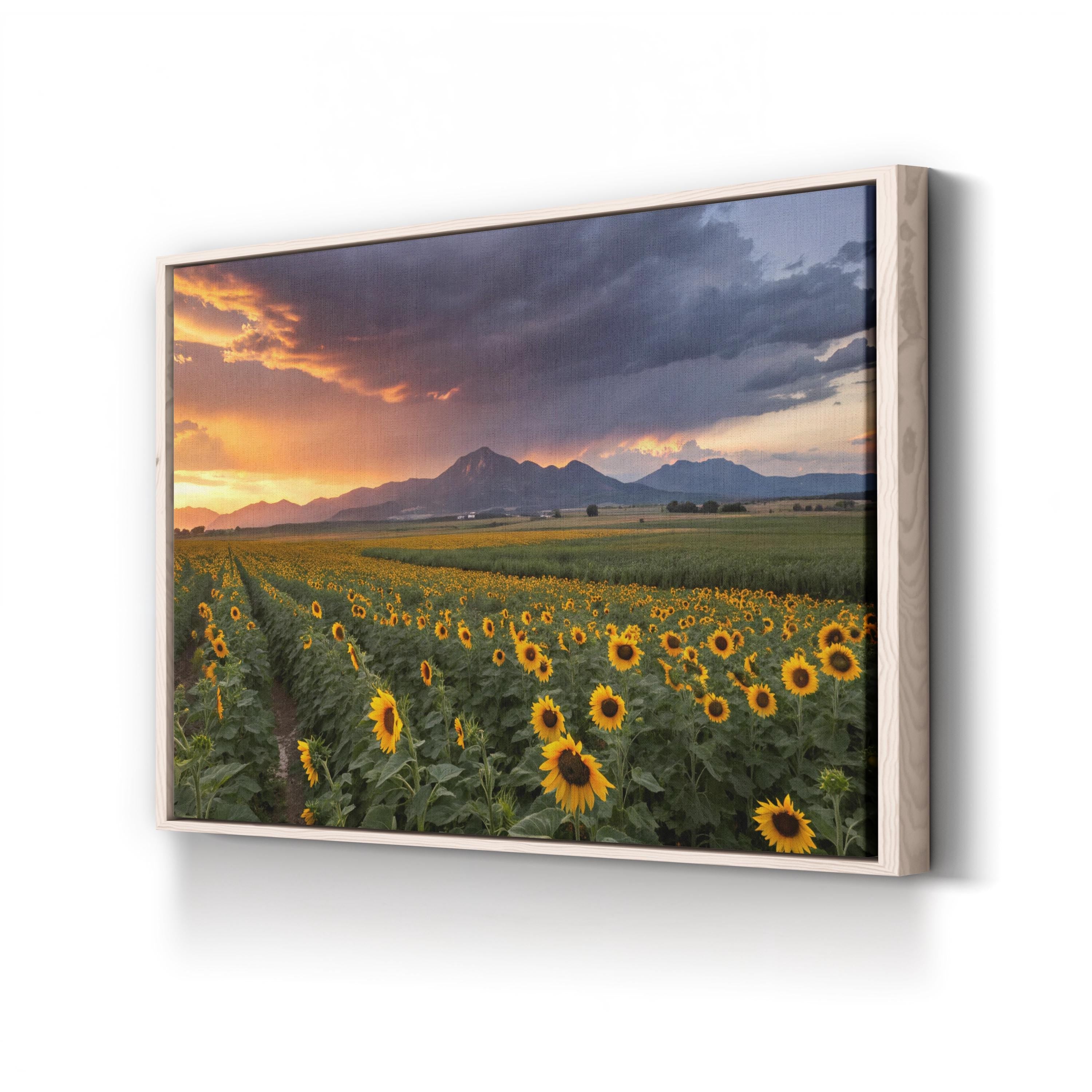 Colorado Sunflower Field – Vintage Photography Wall Art | Mountain Landscape Canvas Print