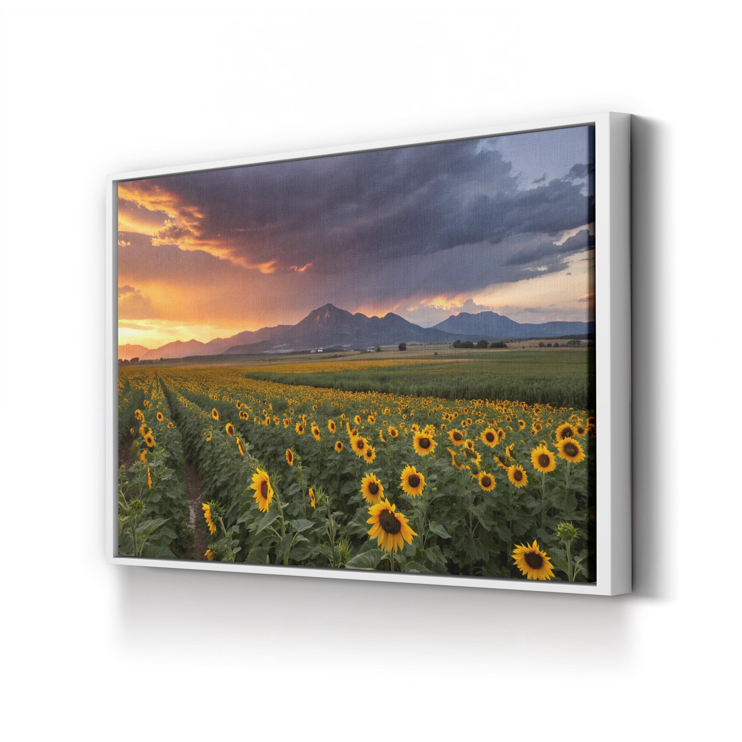Colorado Sunflower Field – Vintage Photography Wall Art | Mountain Landscape Canvas Print