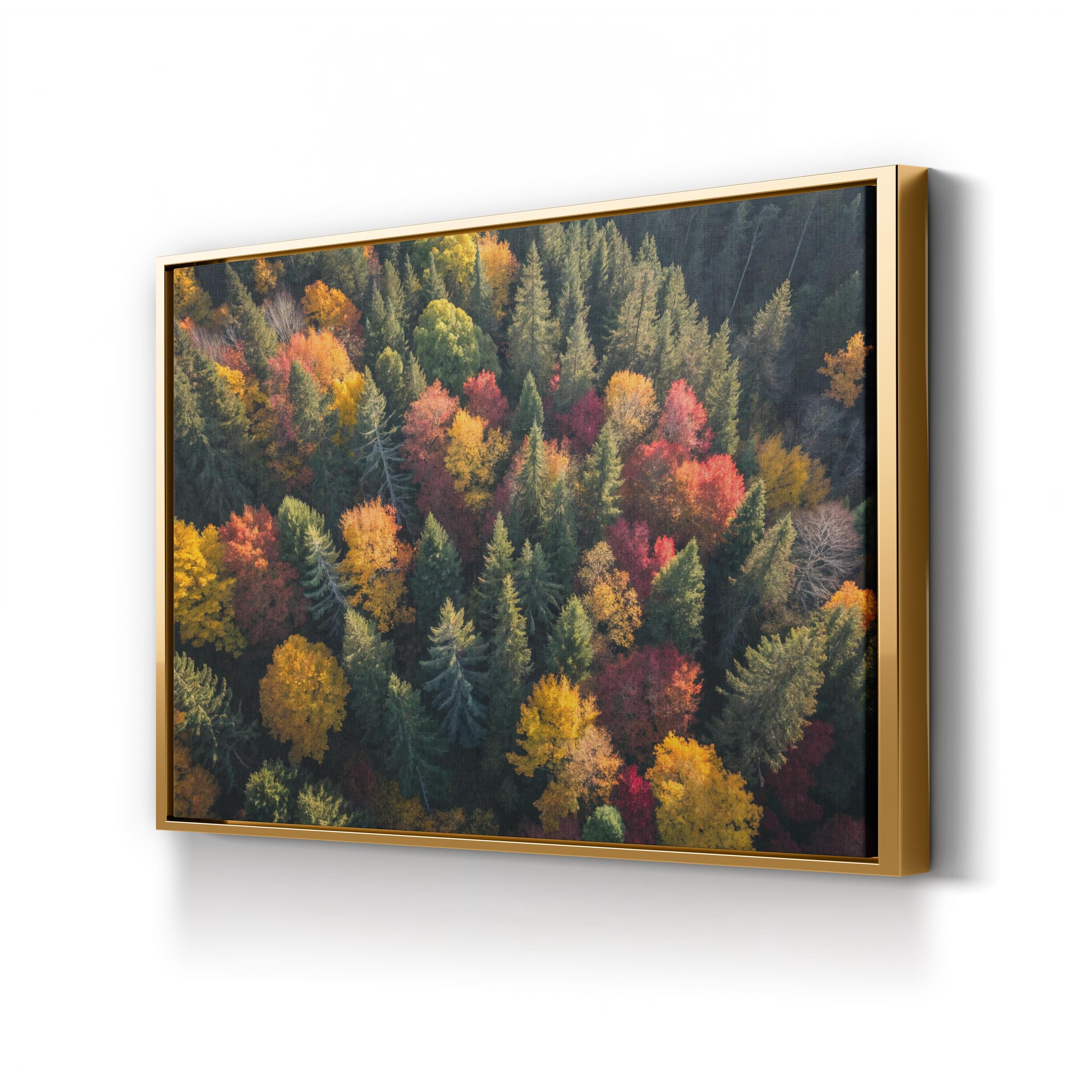 Autumn Forest Canopy Aerial – Vintage Photography Wall Art | Fall Foliage Canvas Print