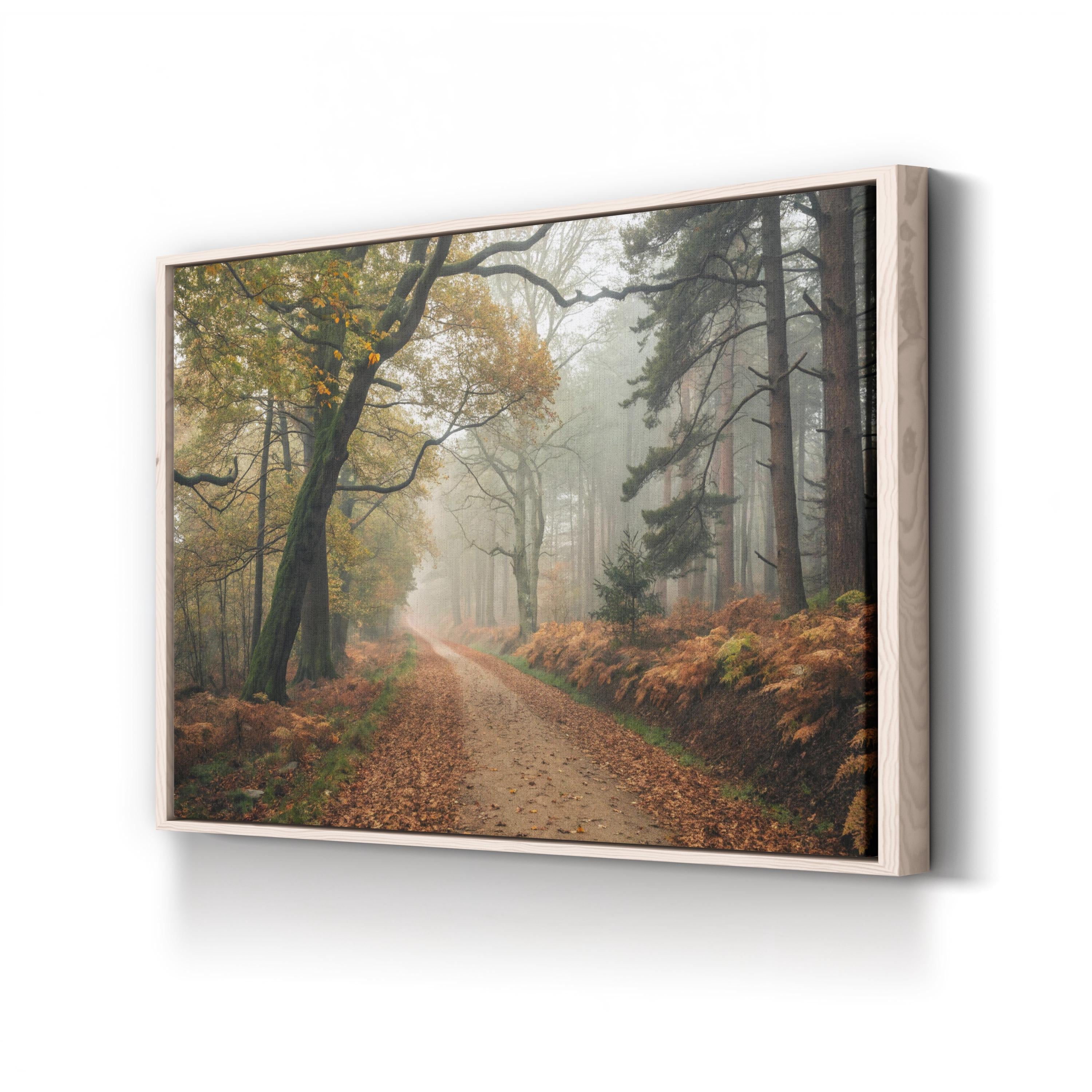 Autumn Forest Misty Path – Vintage Photography Wall Art | Nature Landscape Canvas Print