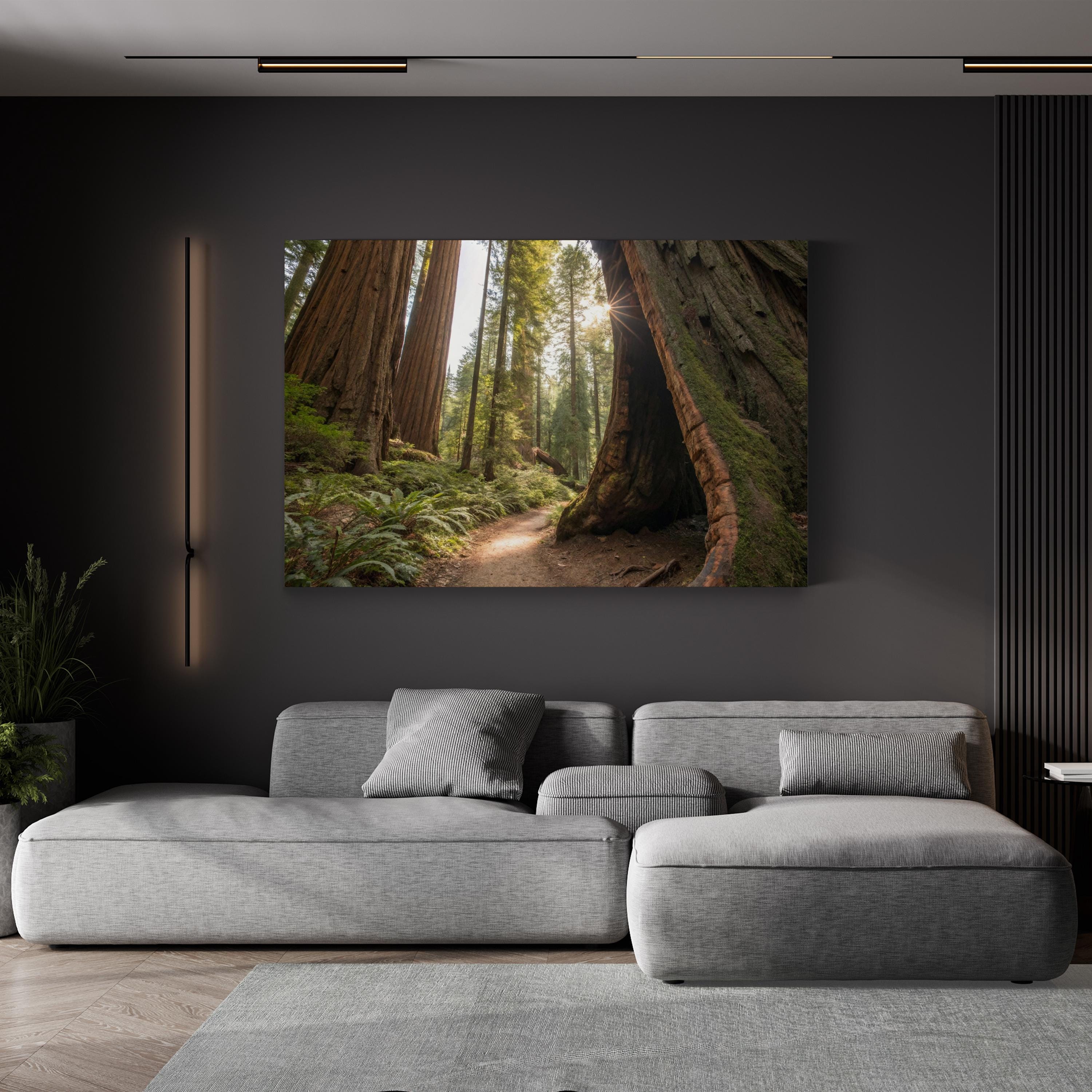 Muir Woods Sequoias – Vintage Photography Wall Art | California Forest Canvas Print
