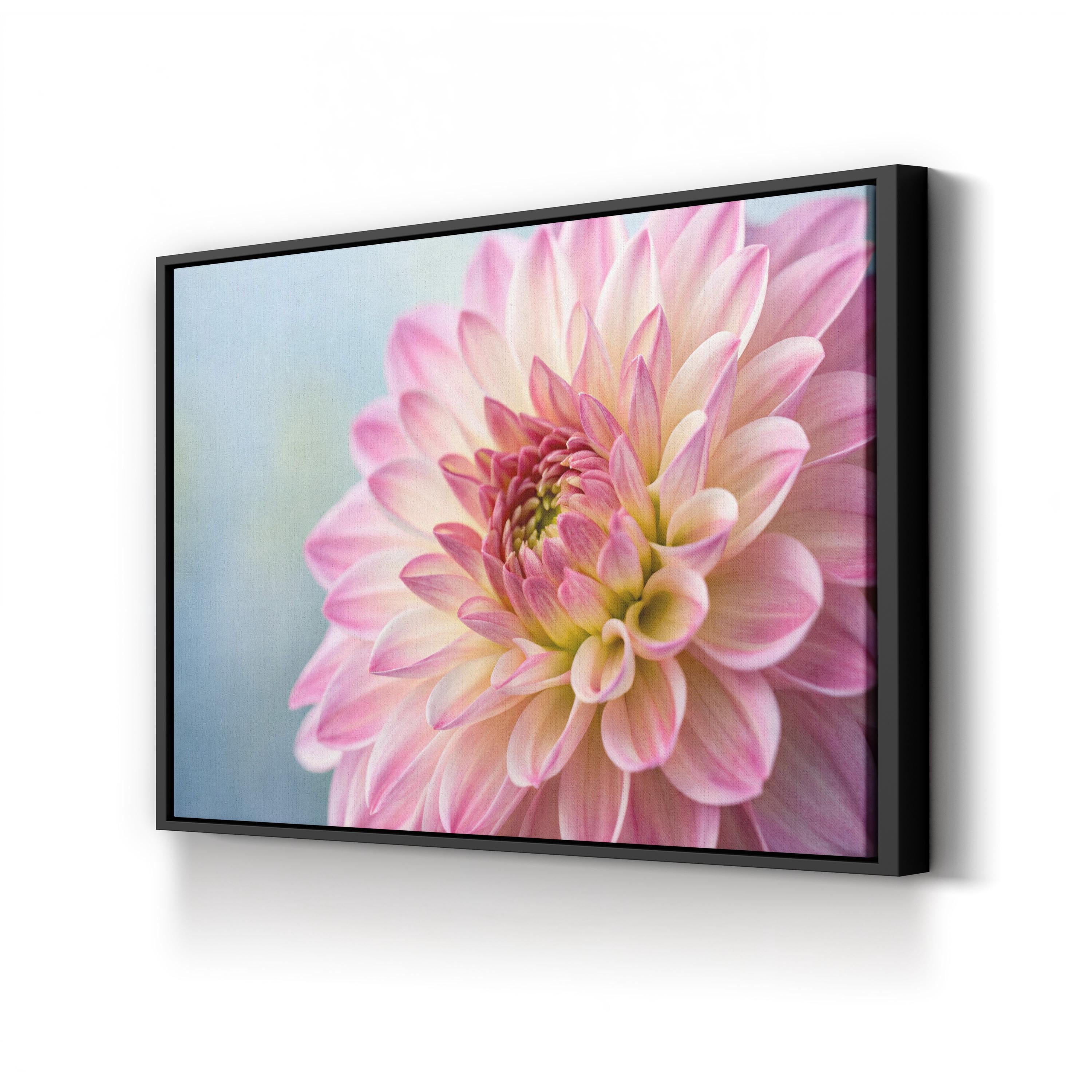 Pink Dahlia Canvas – Floral Photography Wall Art