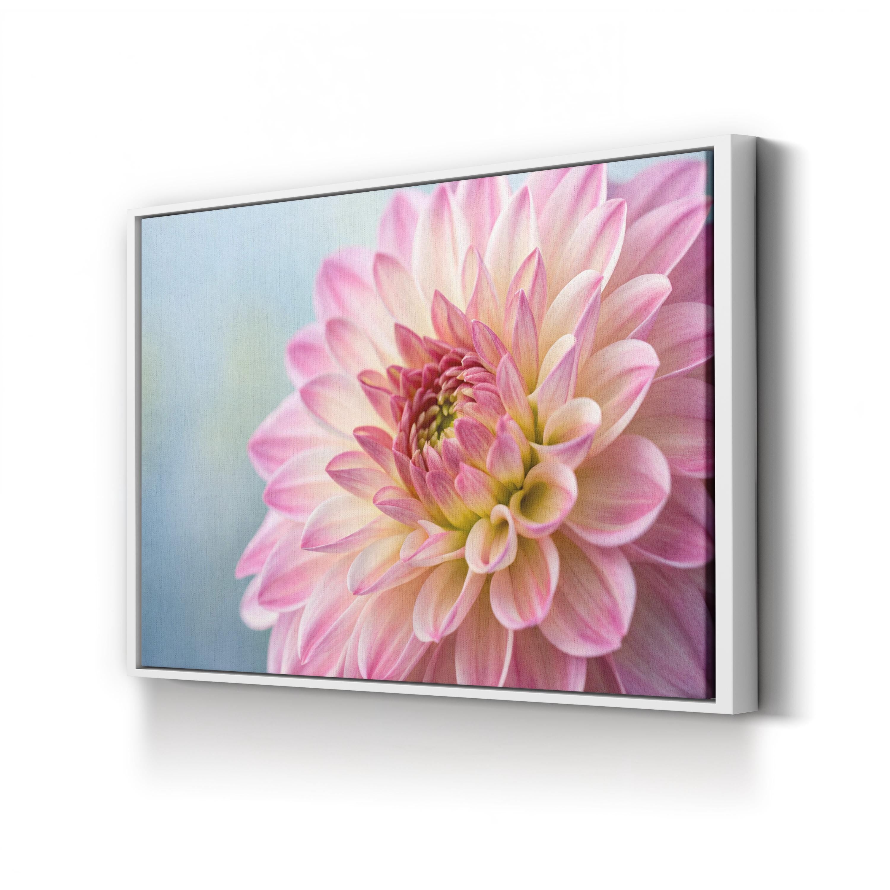 Pink Dahlia Canvas – Floral Photography Wall Art