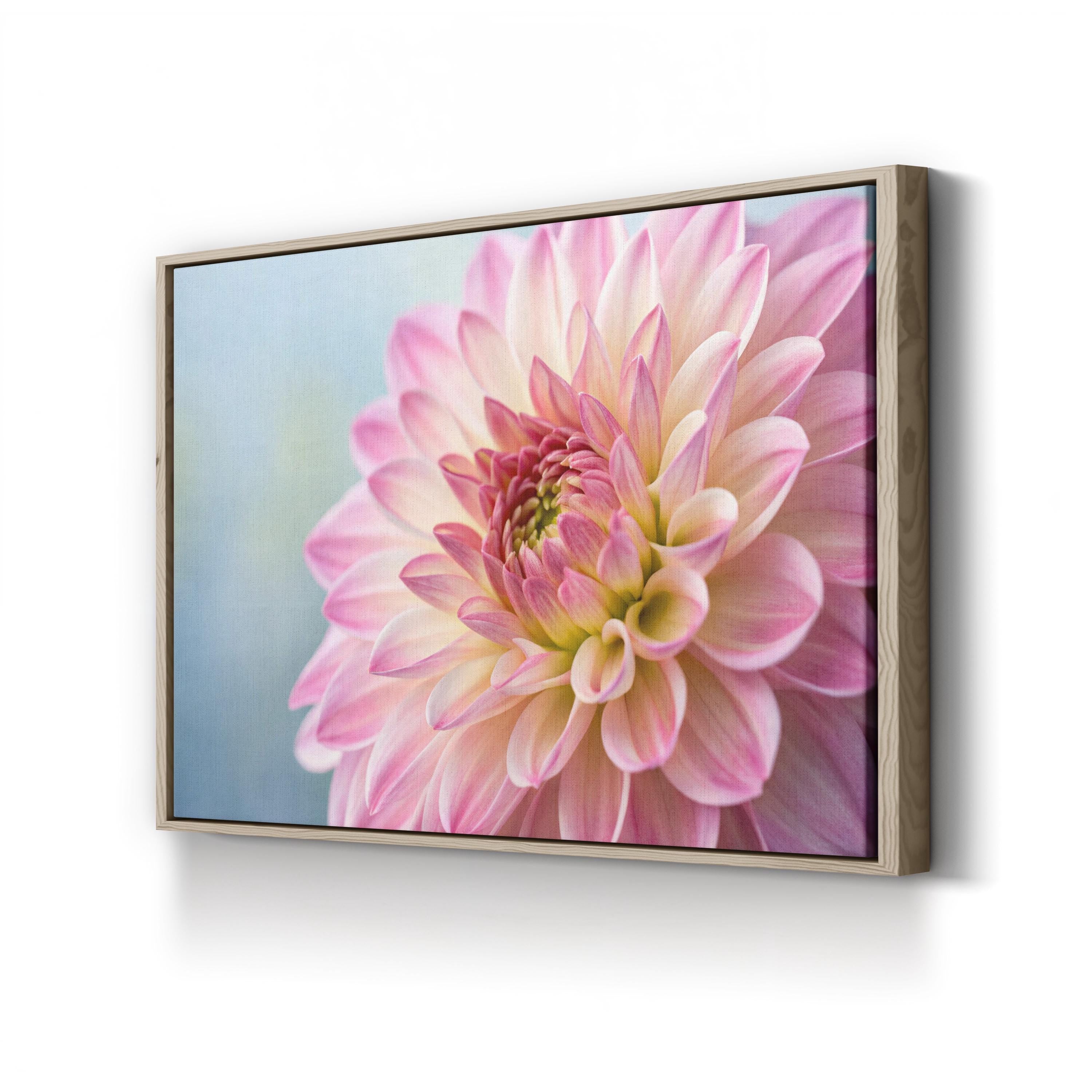 Pink Dahlia Canvas – Floral Photography Wall Art