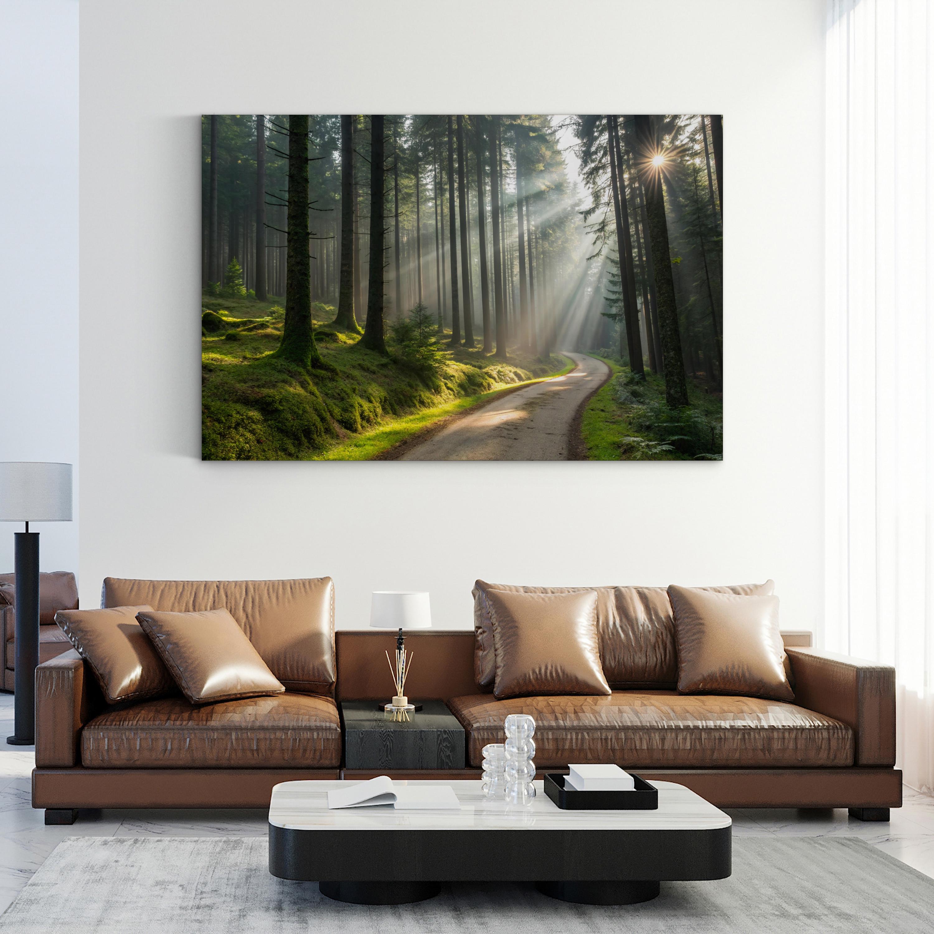 Forest Sunlight Path – Vintage Photography Wall Art | Woodland Landscape Canvas Print