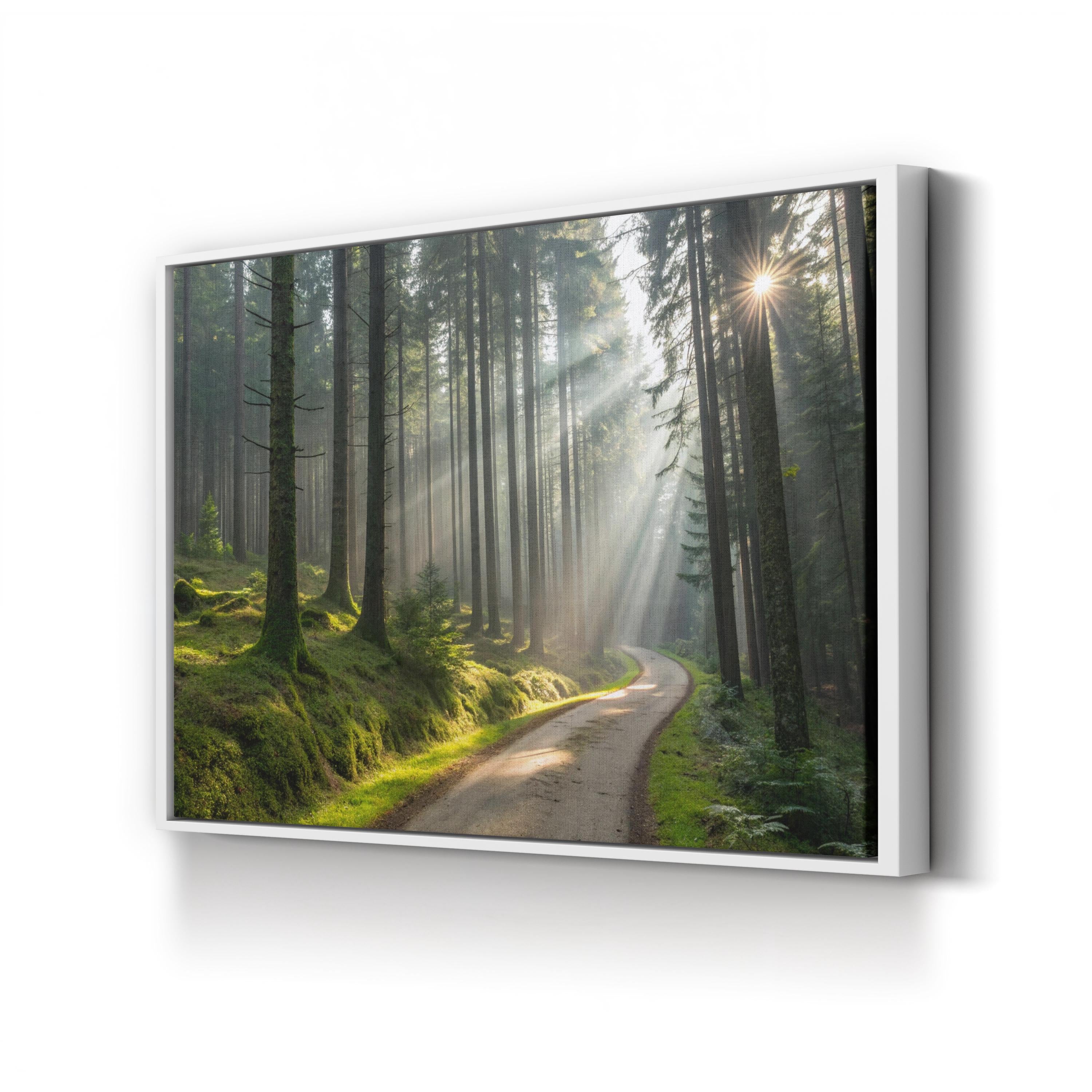 Forest Sunlight Path – Vintage Photography Wall Art | Woodland Landscape Canvas Print