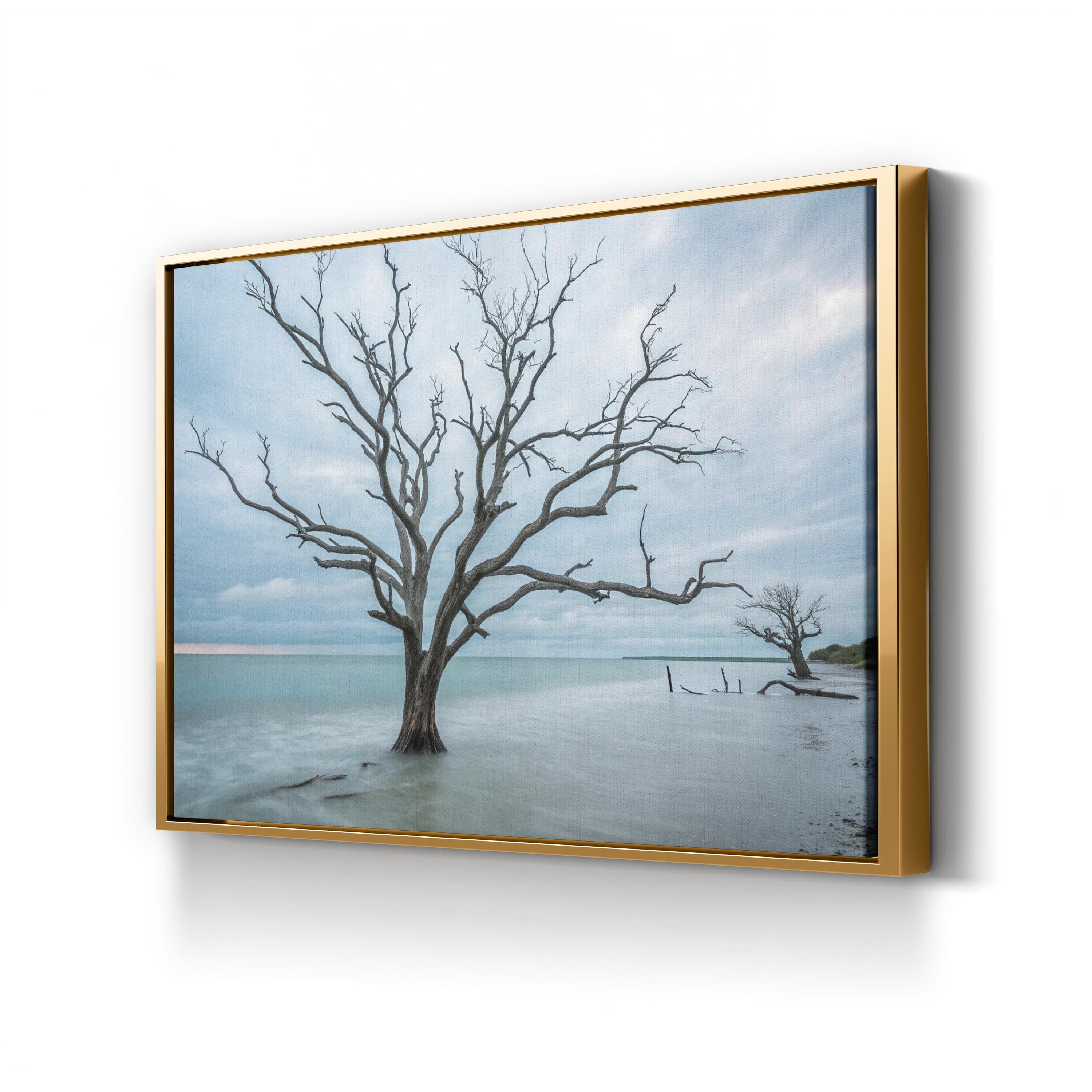 Botany Bay Coastal Sunset — Tranquil Shoreline Canvas Wall Art