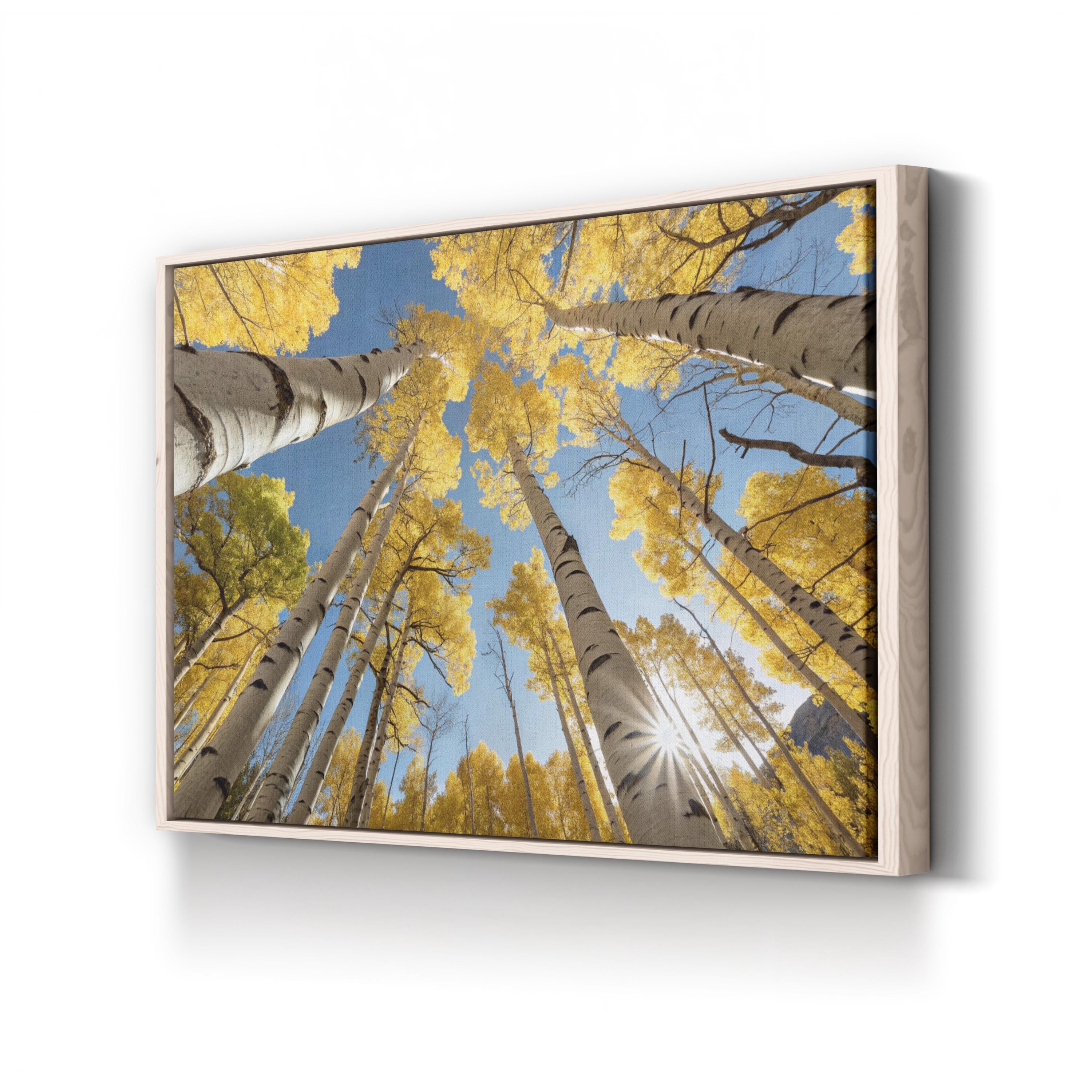 San Juan Aspens Fall – Vintage Photography Wall Art | Autumn Forest Canvas Print