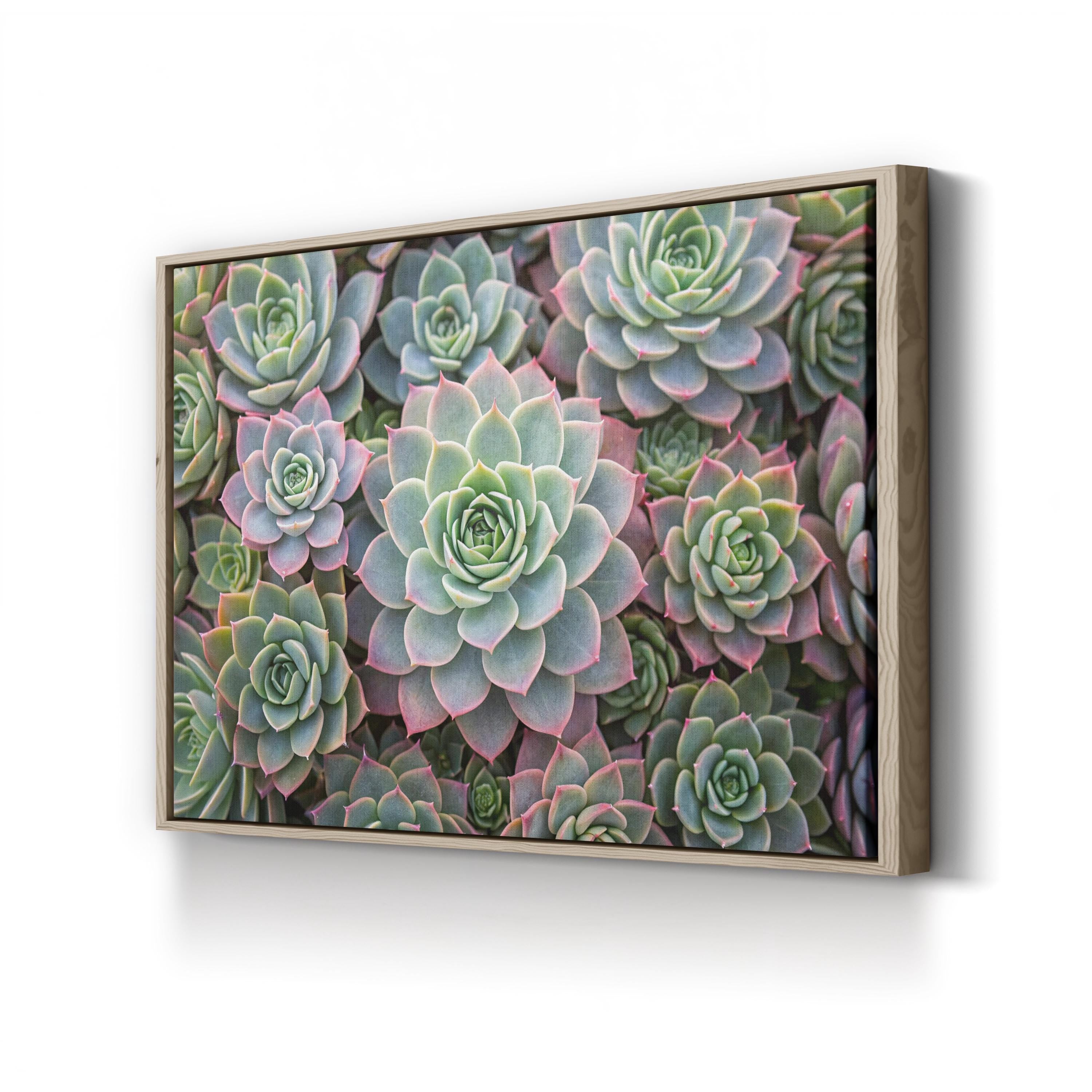 Succulent Garden – Vintage Photography Wall Art | Soft Green Botanical Canvas Print