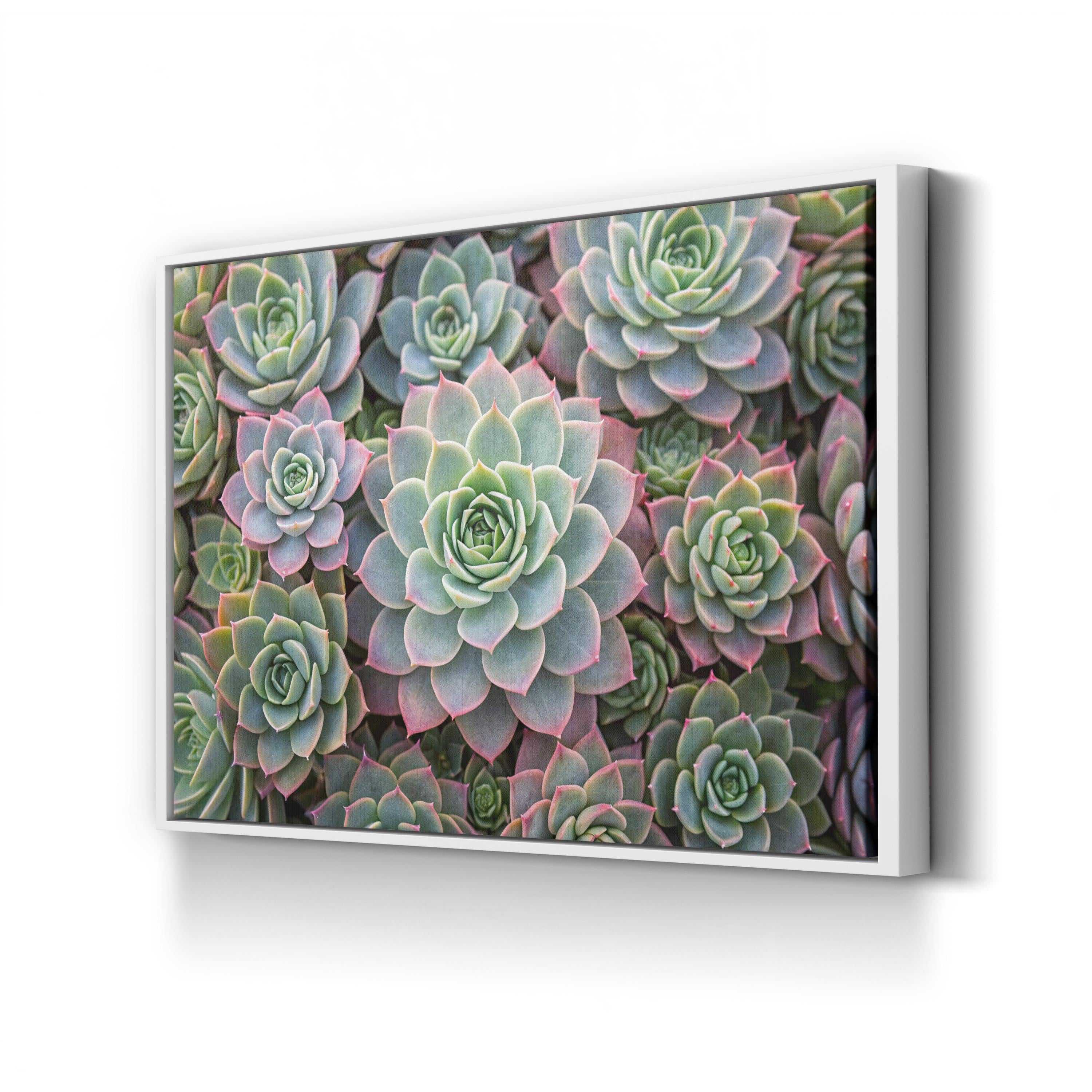 Succulent Garden – Vintage Photography Wall Art | Soft Green Botanical Canvas Print