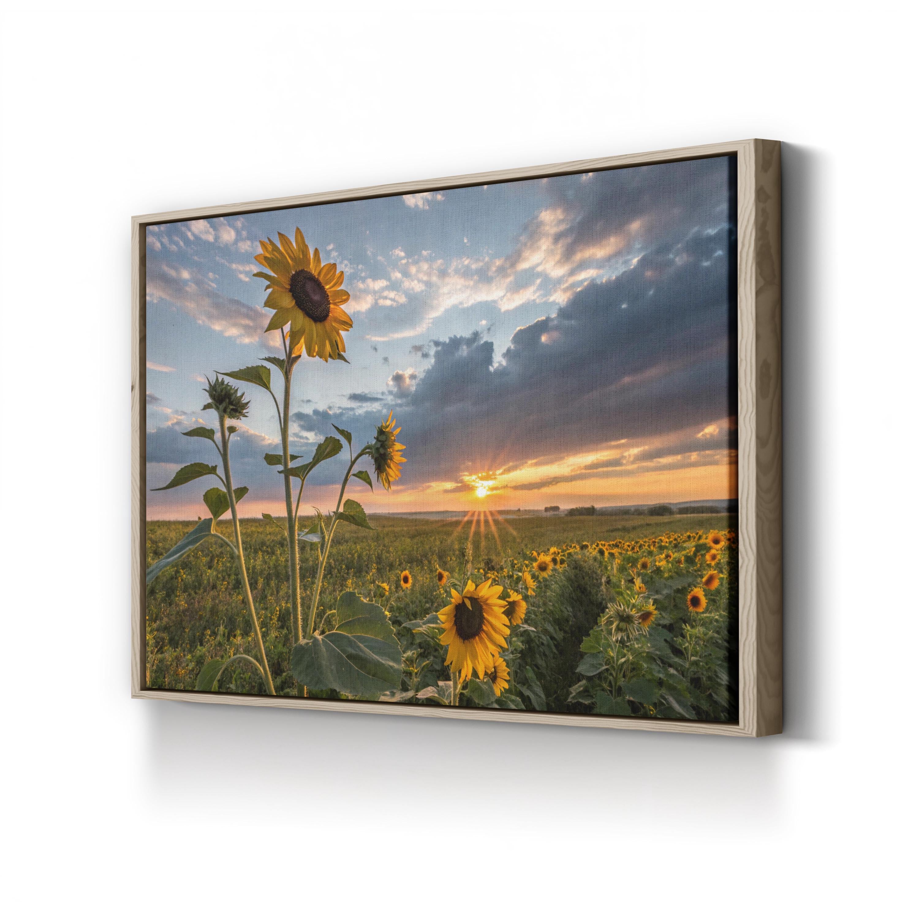 Sunflower Sunset – Vintage Photography Wall Art | Golden Hour Landscape Canvas Print