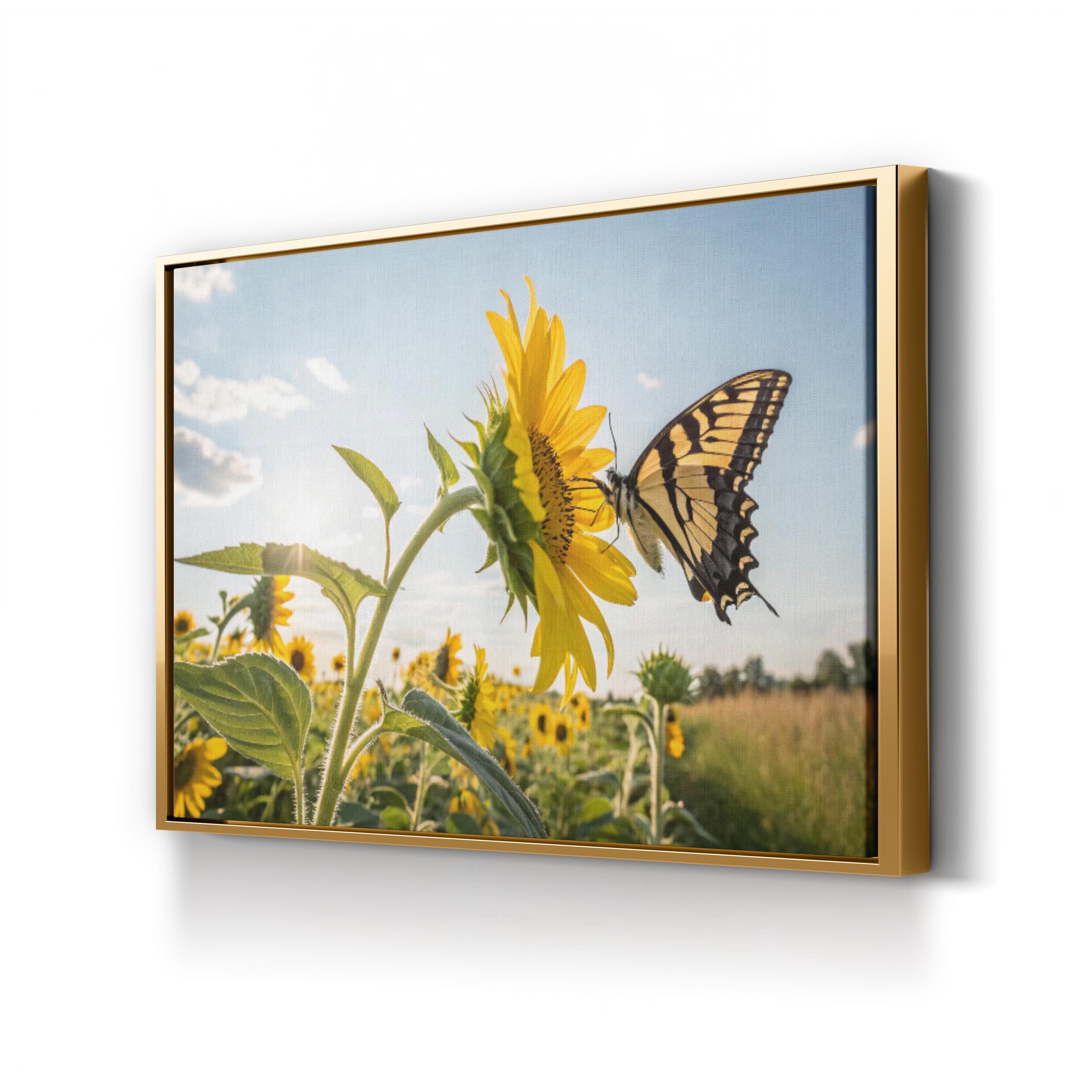 Sunflower & Butterfly – Vintage Photography Wall Art | Sunlit Field Canvas Print