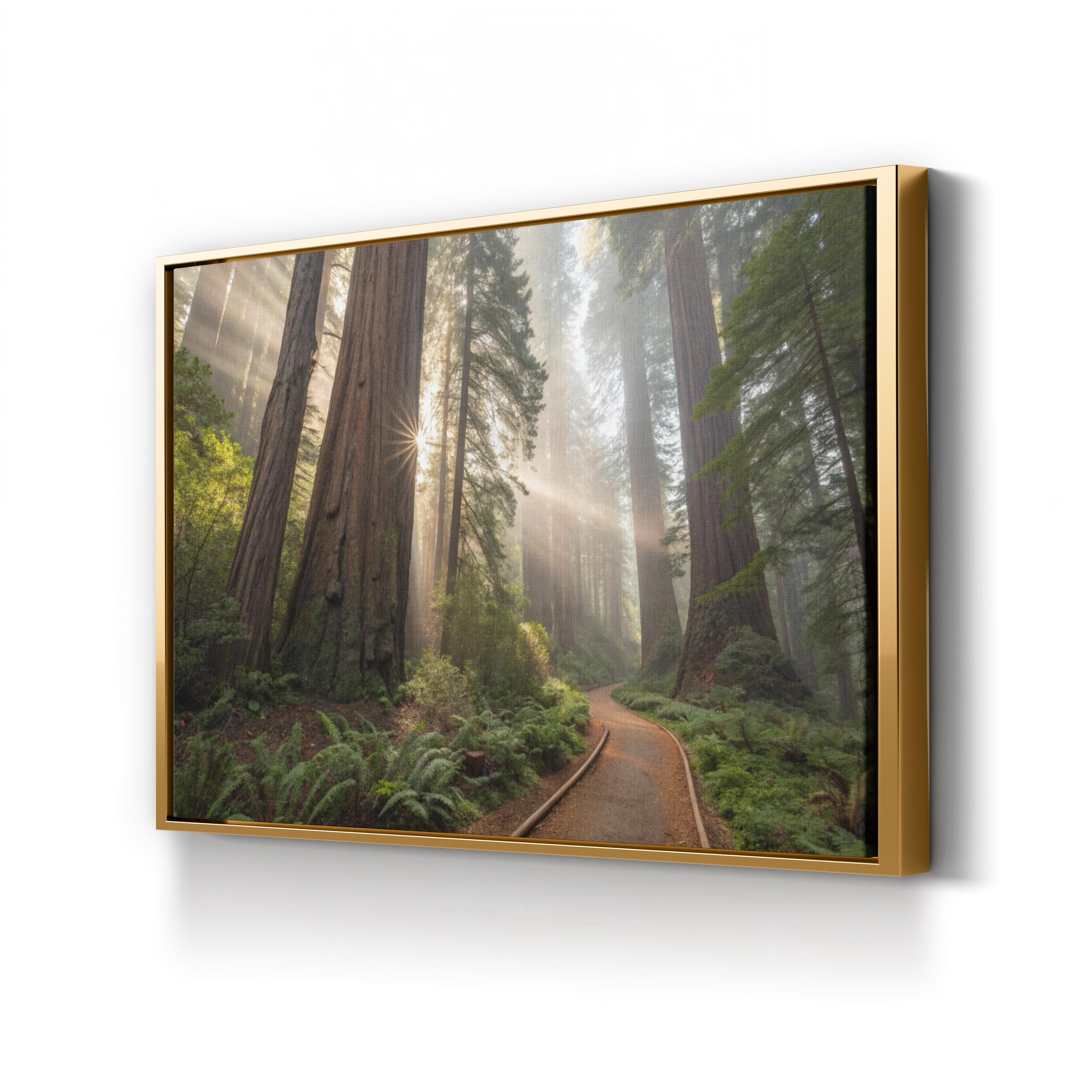 Redwood Forest Sunrise – Vintage Photography Wall Art | Nature Landscape Canvas Print
