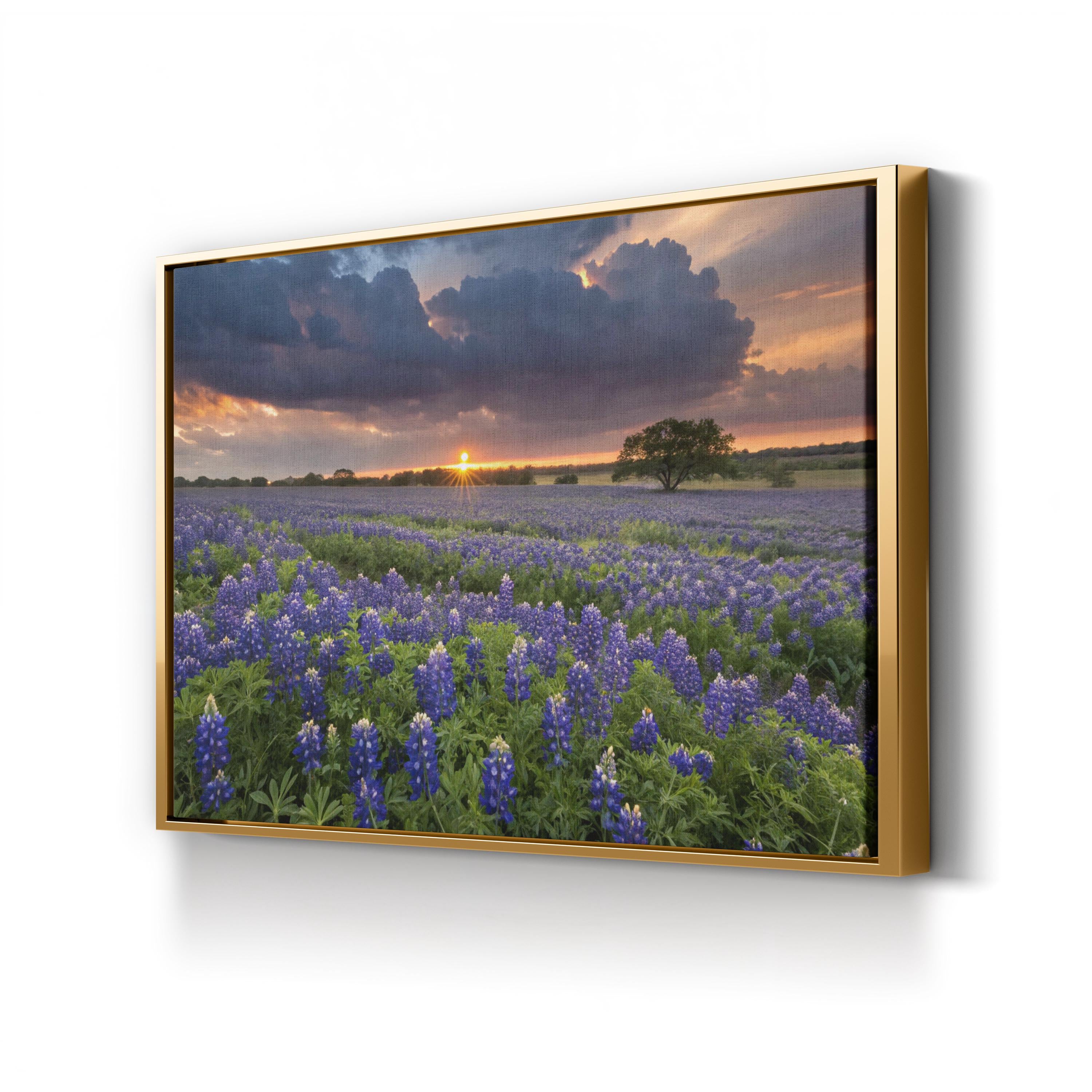 Texas Bluebonnet Field – Vintage Photography Wall Art | Wildflower Landscape Canvas Print