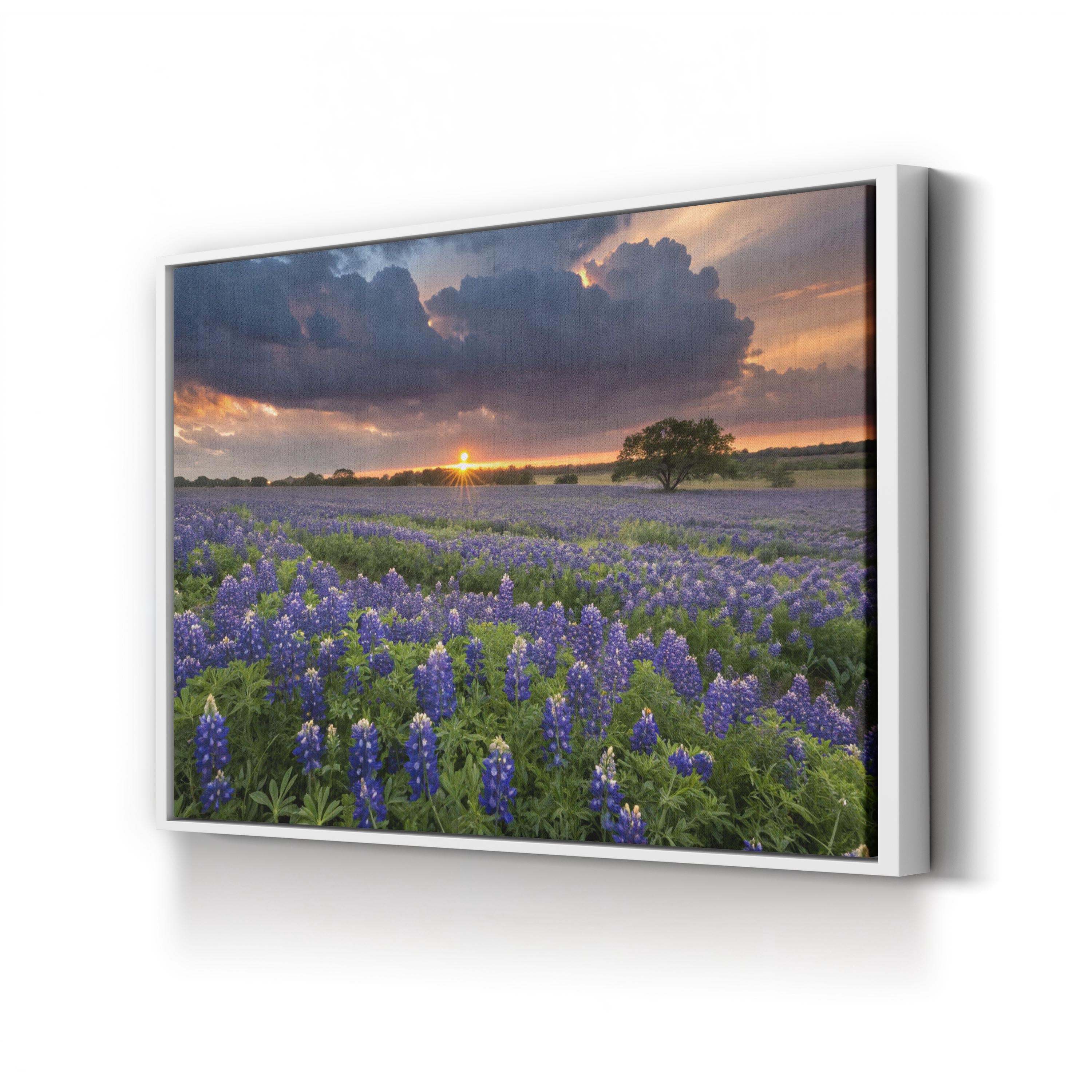 Texas Bluebonnet Field – Vintage Photography Wall Art | Wildflower Landscape Canvas Print