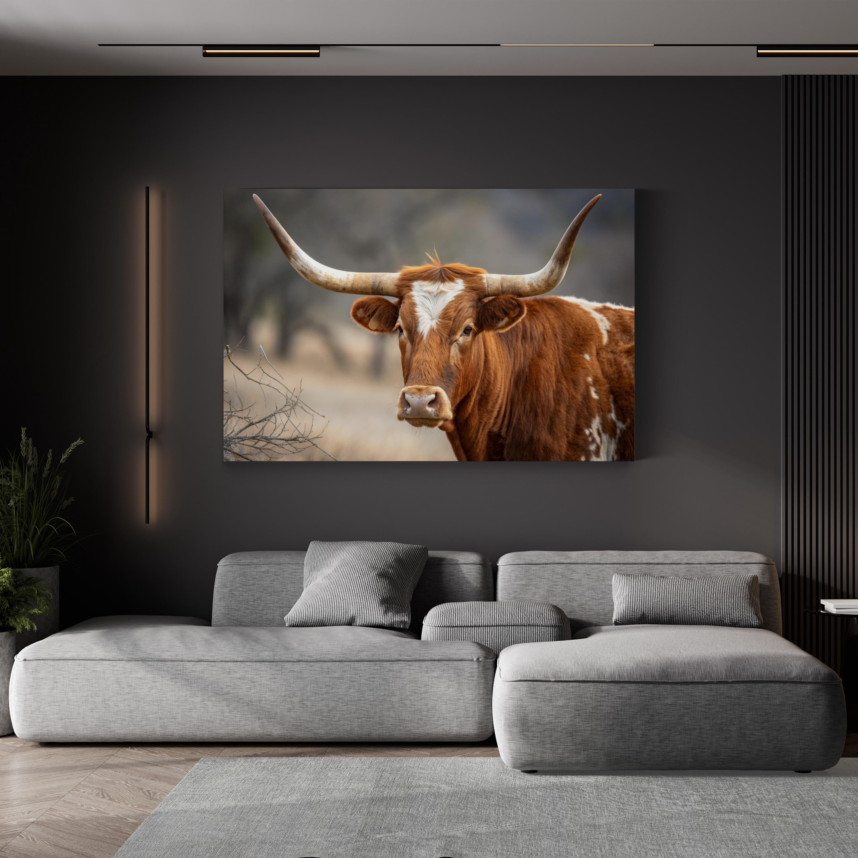 Texas Longhorn Cow Canvas – Rustic Wildlife Photography