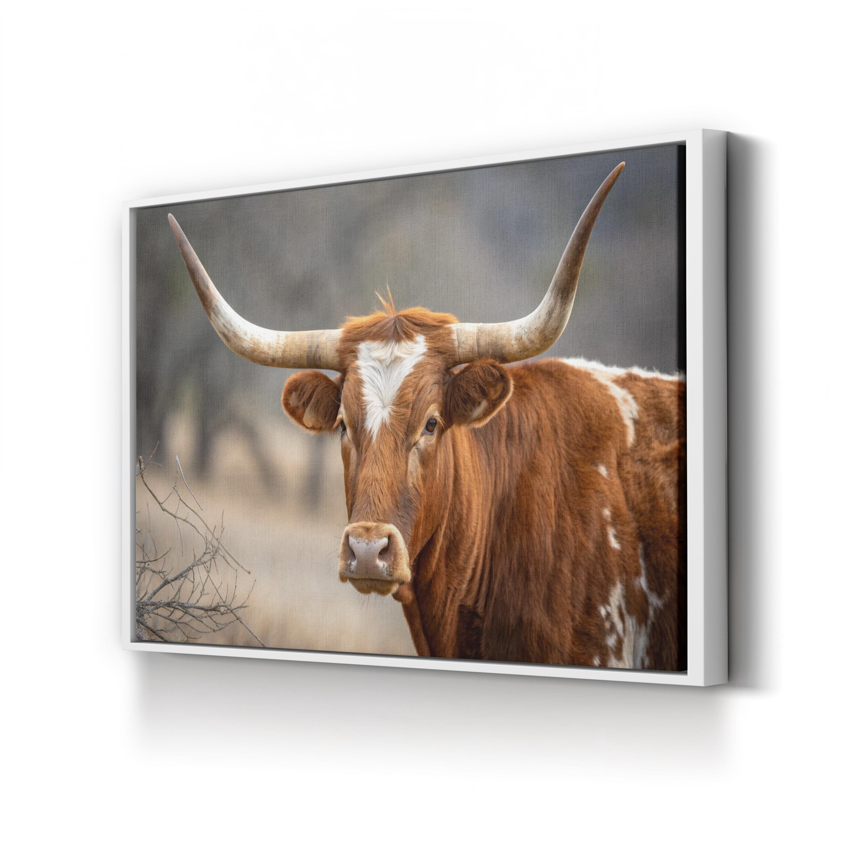 Texas Longhorn Cow Canvas – Rustic Wildlife Photography