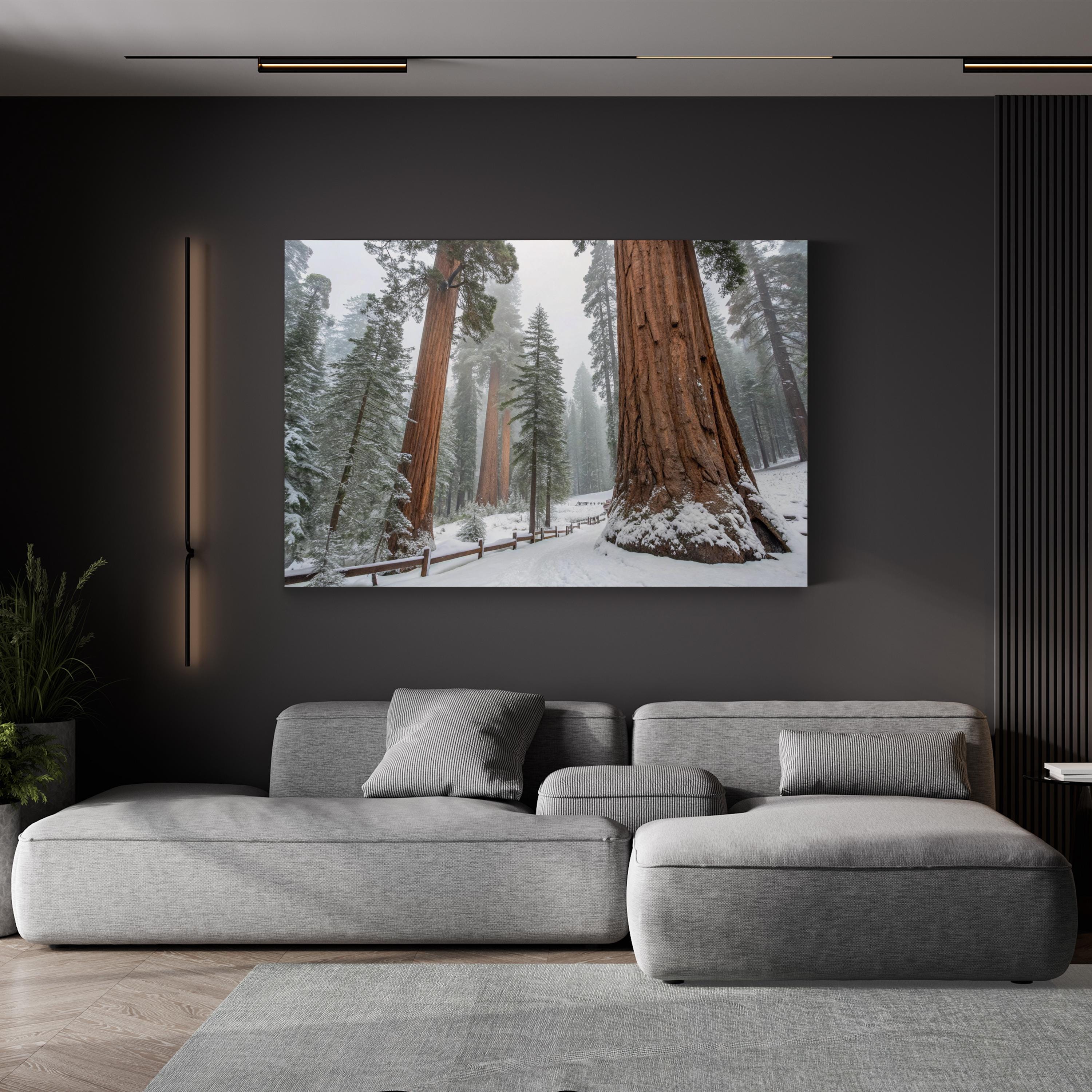 Snowy Sequoia Forest – Vintage Photography Wall Art | Winter Nature Canvas Print
