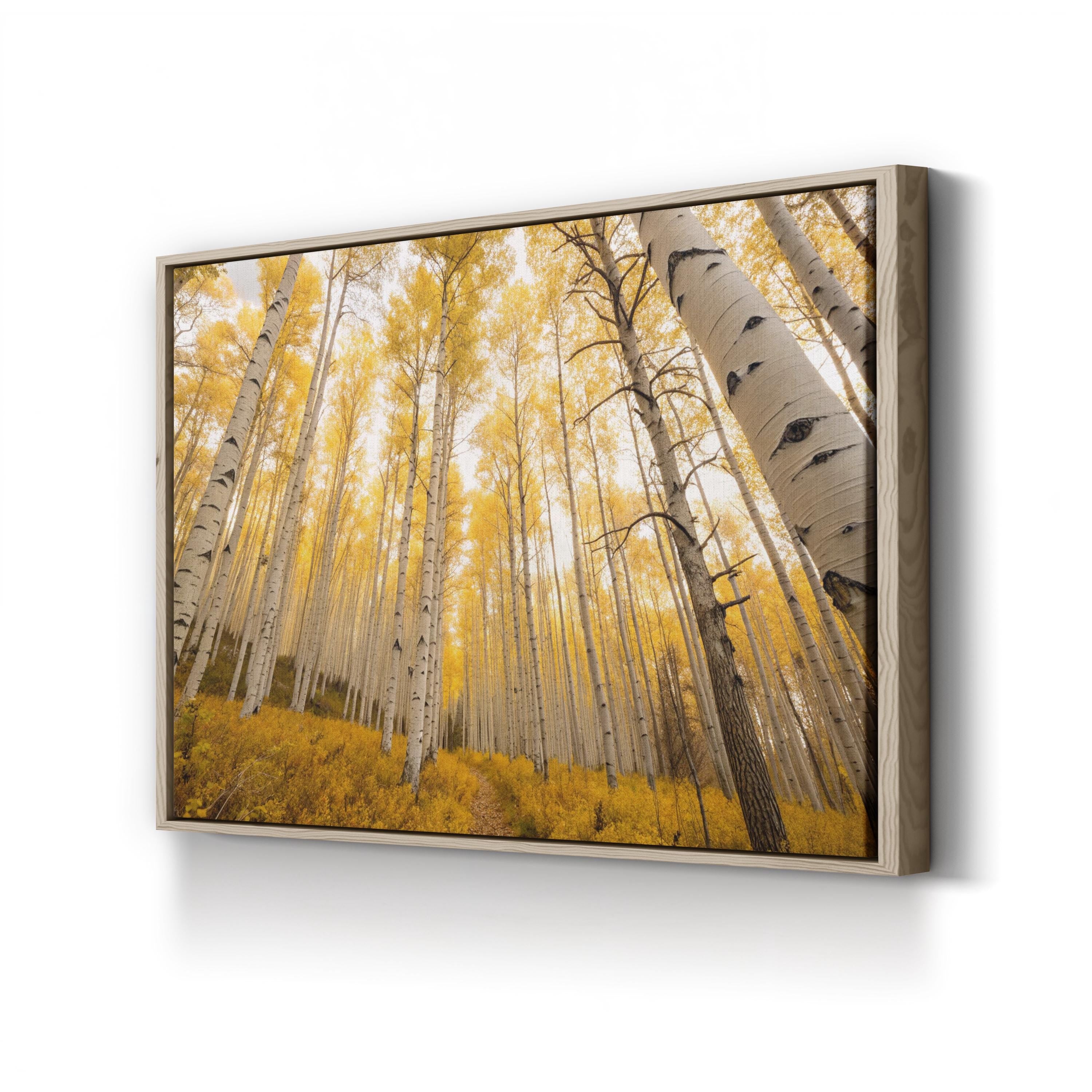 Golden Autumn Forest – Vintage Photography Wall Art | Scenic Fall Landscape Canvas Print