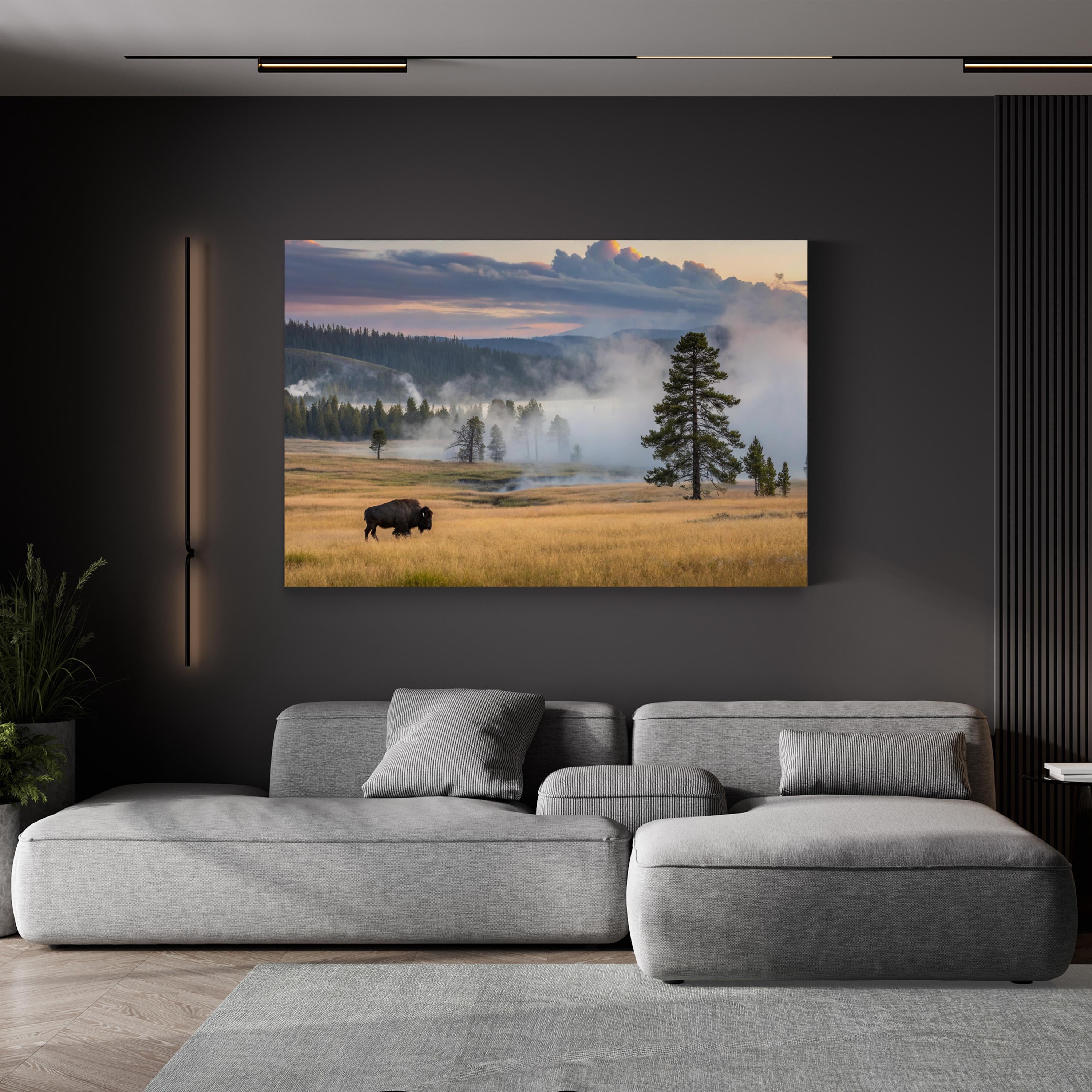 Yellowstone Bison at Dawn – Vintage Photography Wall Art | Western Wildlife Canvas Print