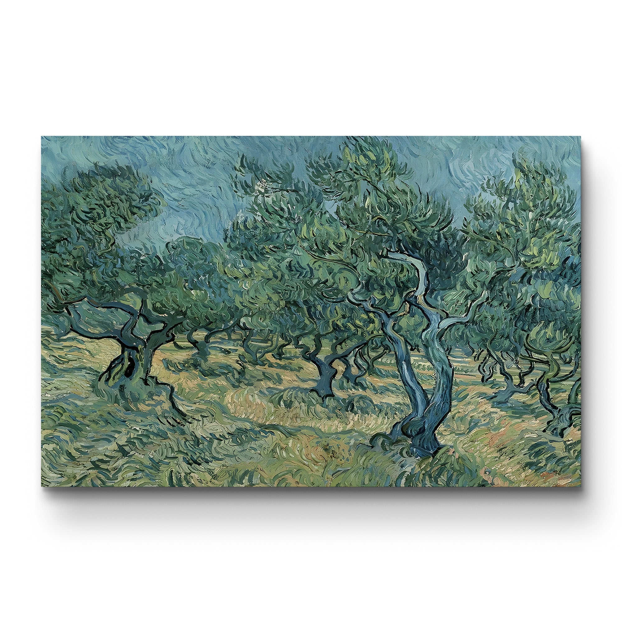 The Olive Grove, 1889 – Vincent van Gogh Wall Art | Post-Impressionist Saint-Rémy Landscape Canvas Print