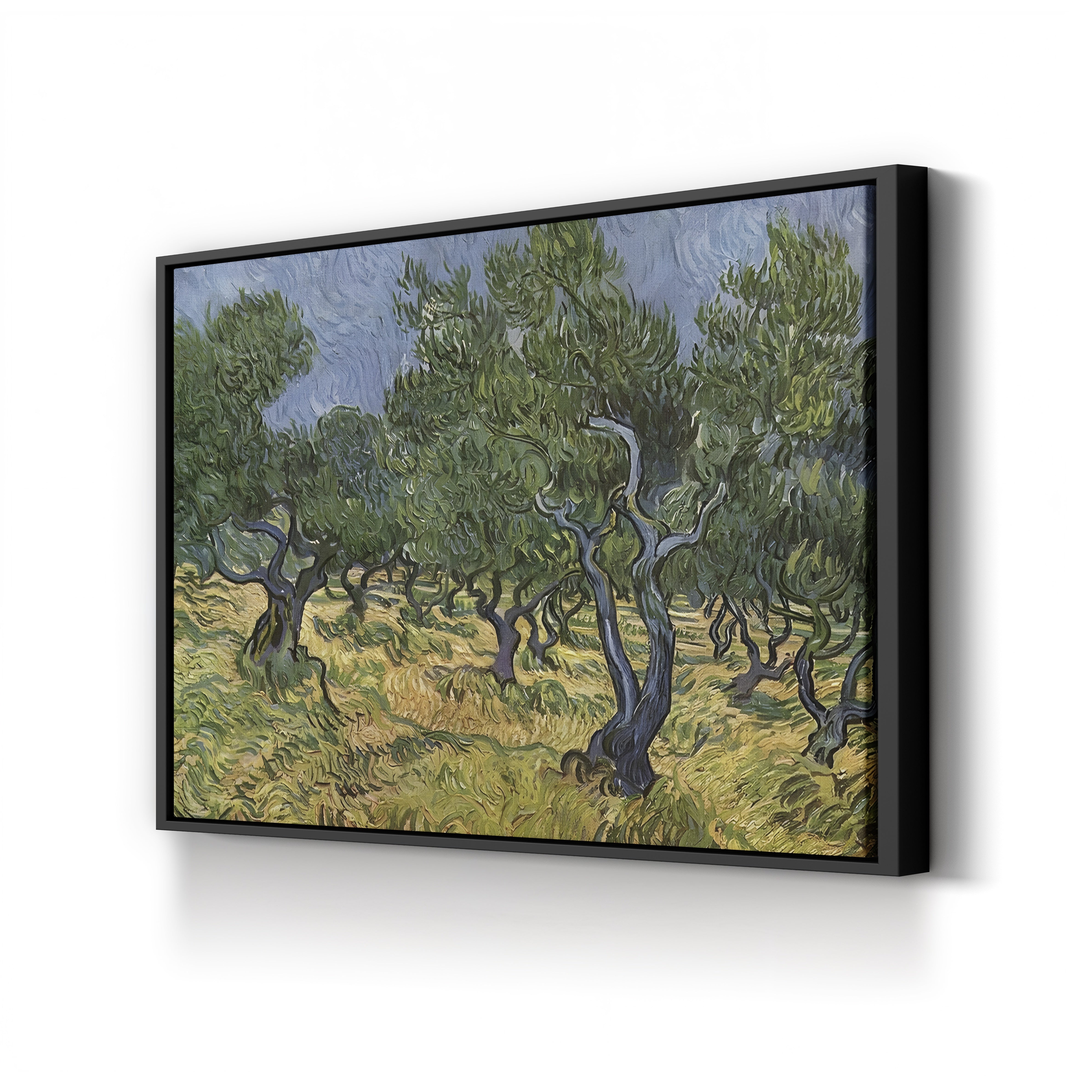 The Olive Grove – Vincent van Gogh Wall Art | Post-Impressionist Provençal Landscape Canvas Print