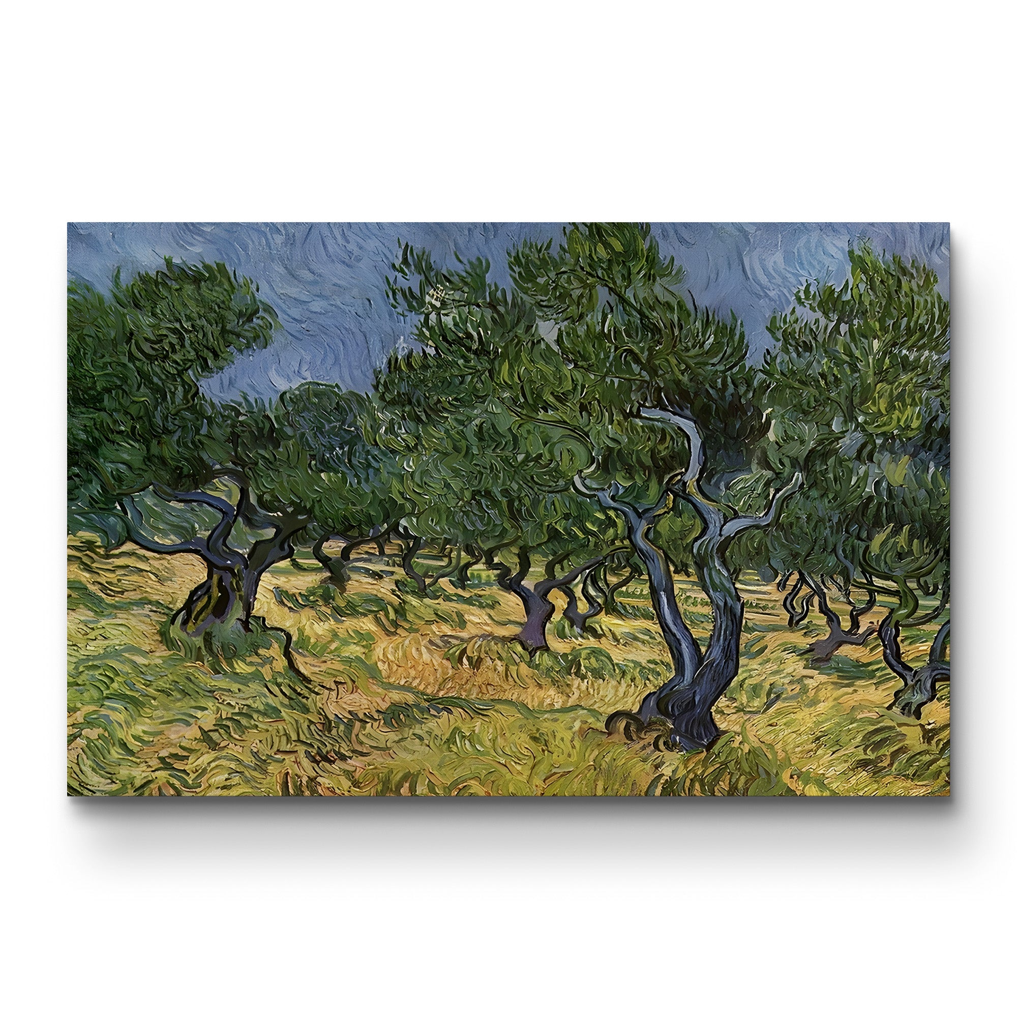 The Olive Grove – Vincent van Gogh Wall Art | Post-Impressionist Provençal Landscape Canvas Print