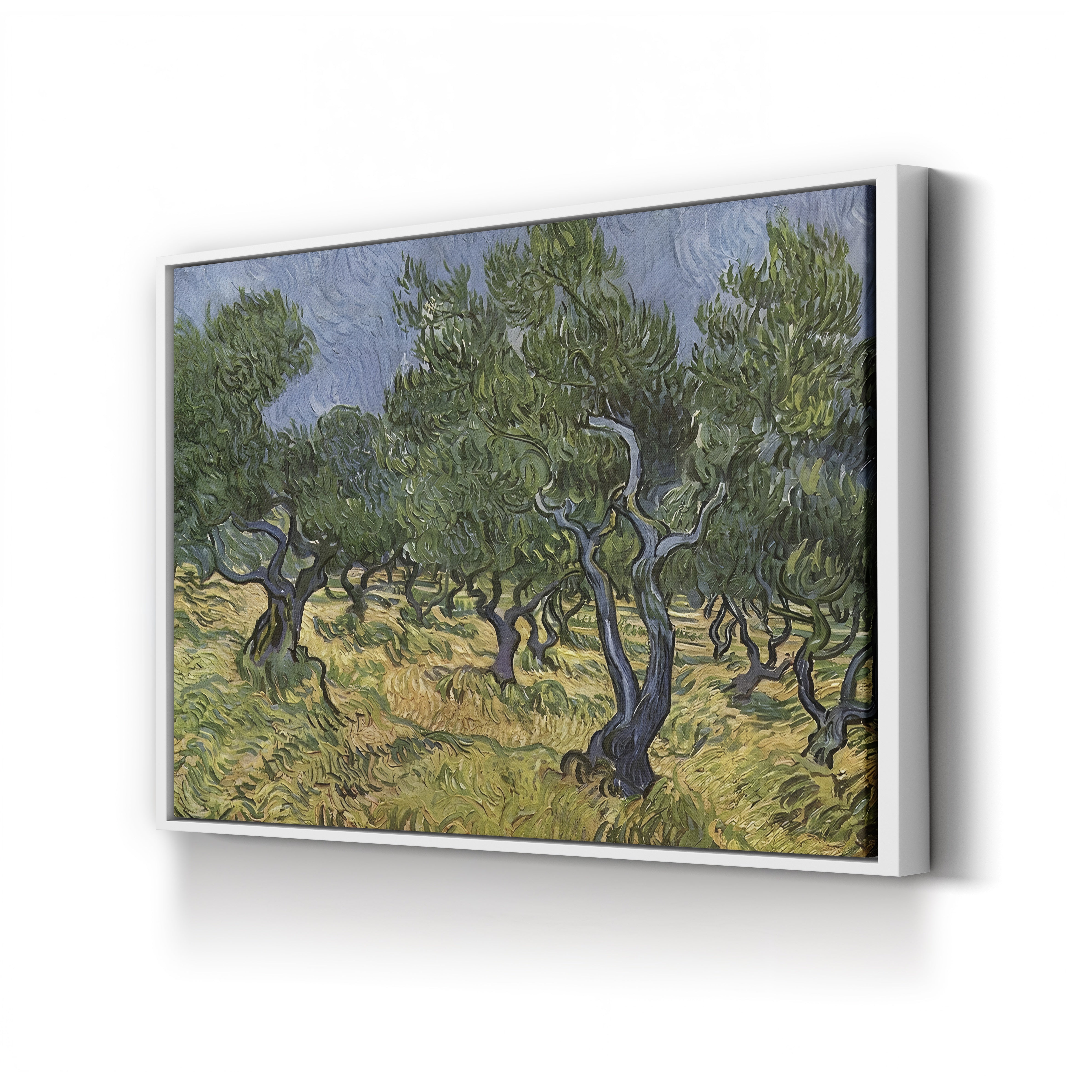 The Olive Grove – Vincent van Gogh Wall Art | Post-Impressionist Provençal Landscape Canvas Print
