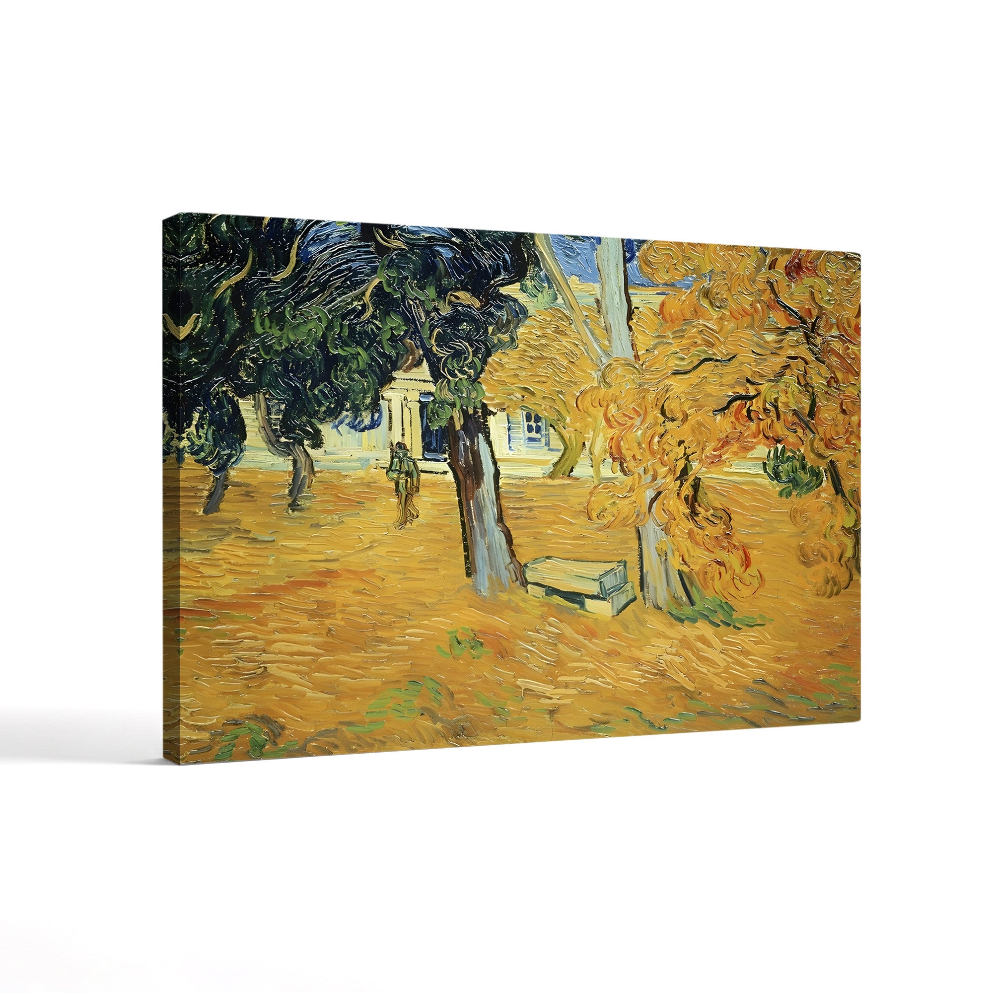 The Park at St. Paul's Hospital, St-Rémy, 1889 – Vincent van Gogh Wall Art | Post-Impressionist Garden Canvas Print