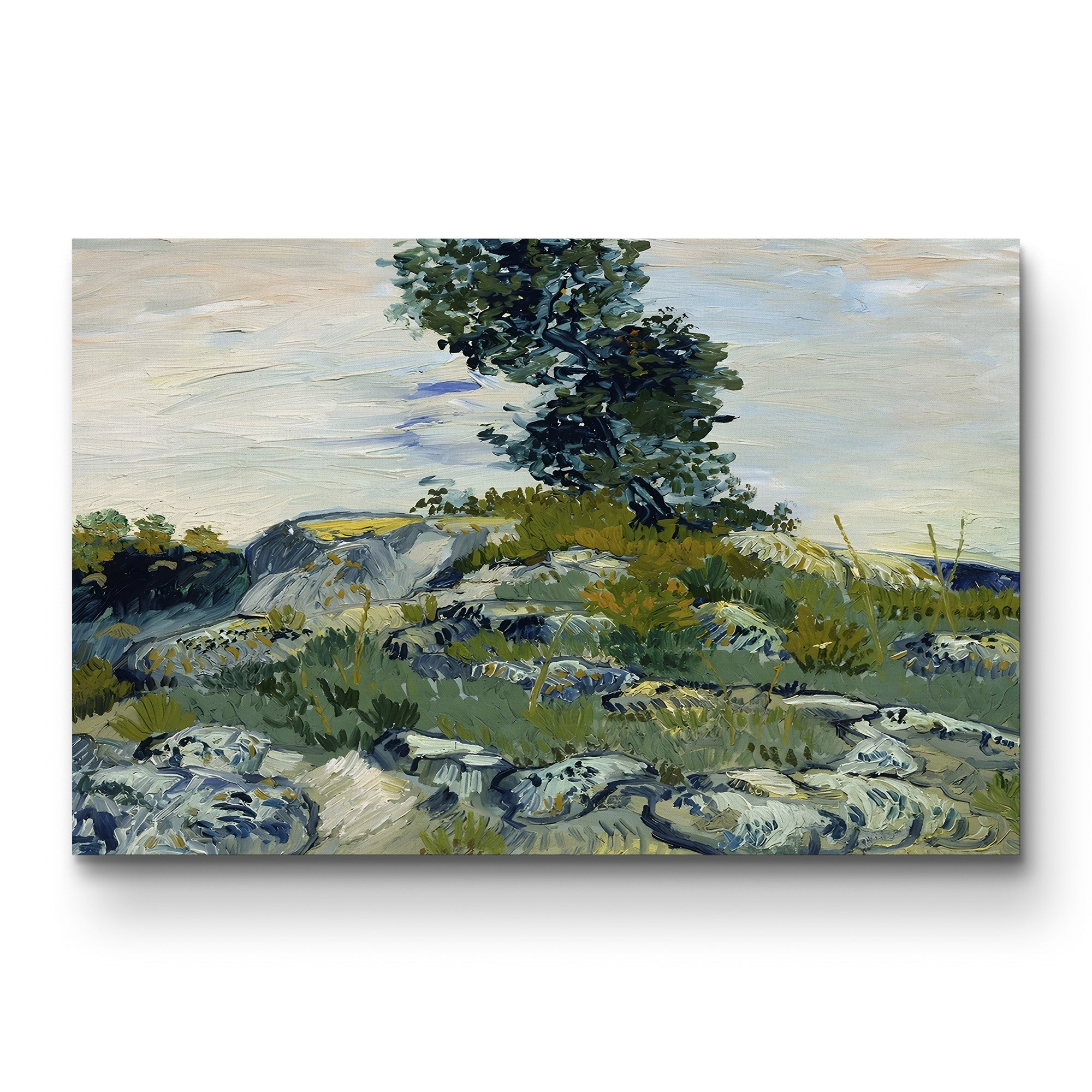 The Rocks, 1888 – Vincent van Gogh Wall Art | Post-Impressionist Arles Landscape Canvas Print