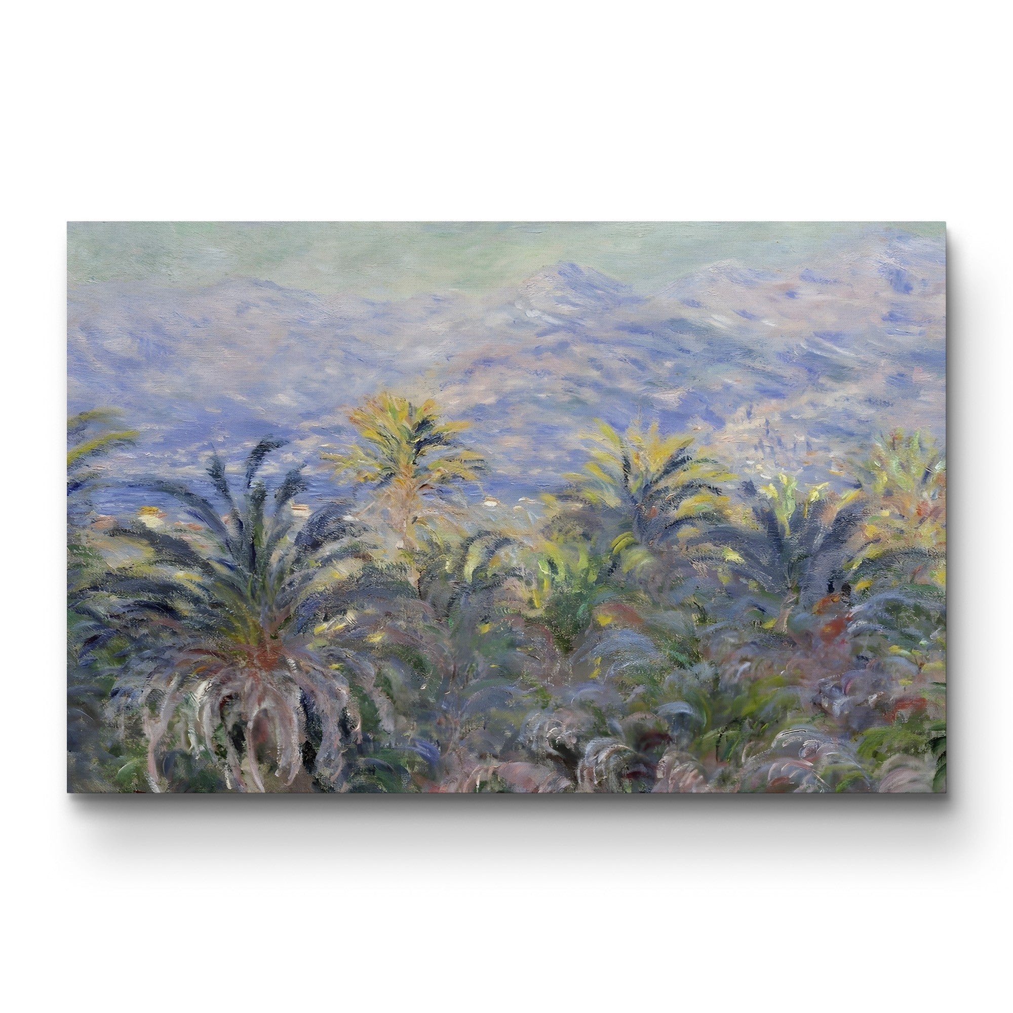 Palm Trees at Bordighera (Palmiers à Bordighera), 1884 by Claude Monet