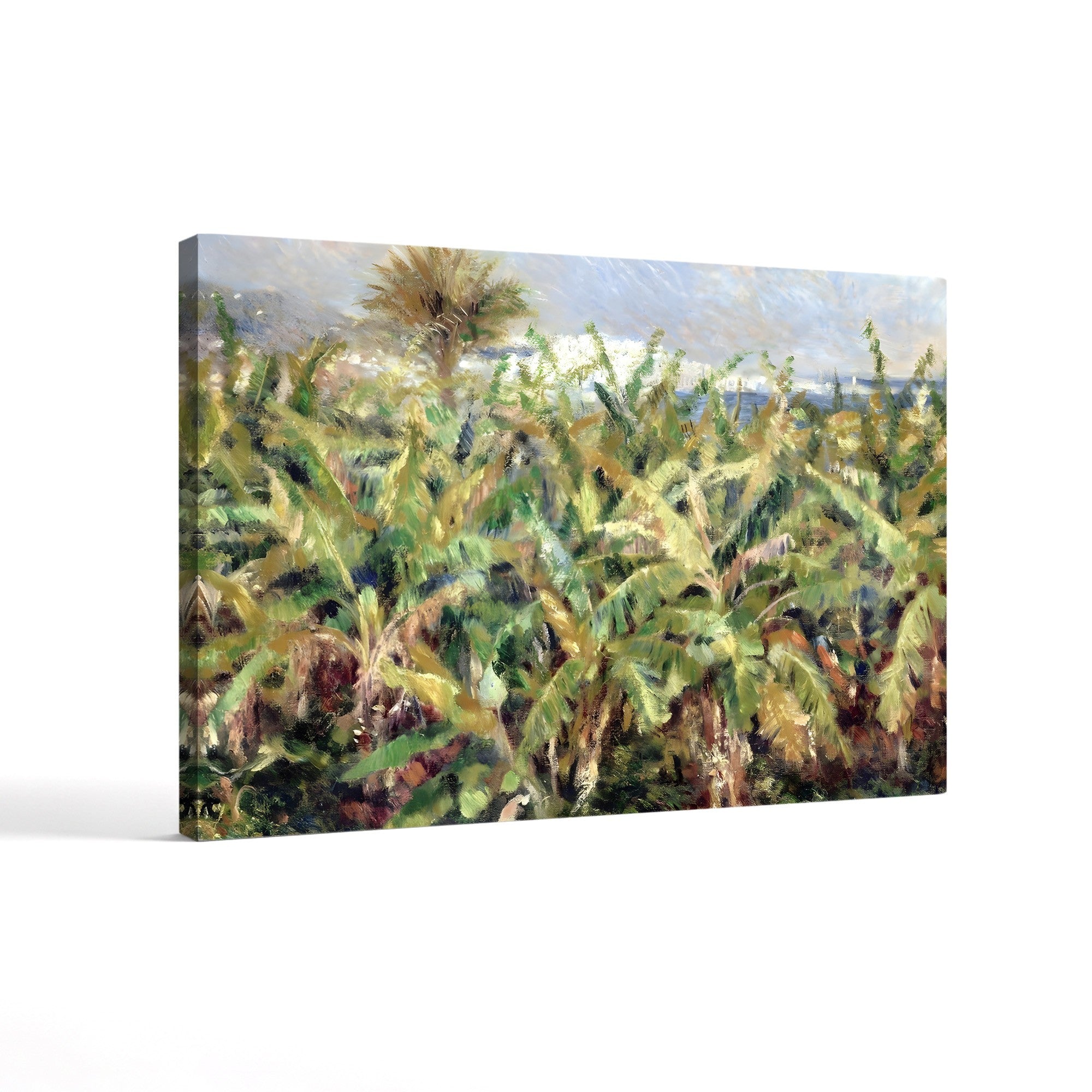 Field of Banana Trees, 1881 – Pierre-Auguste Renoir Wall Art | Impressionist Tropical Canvas Print
