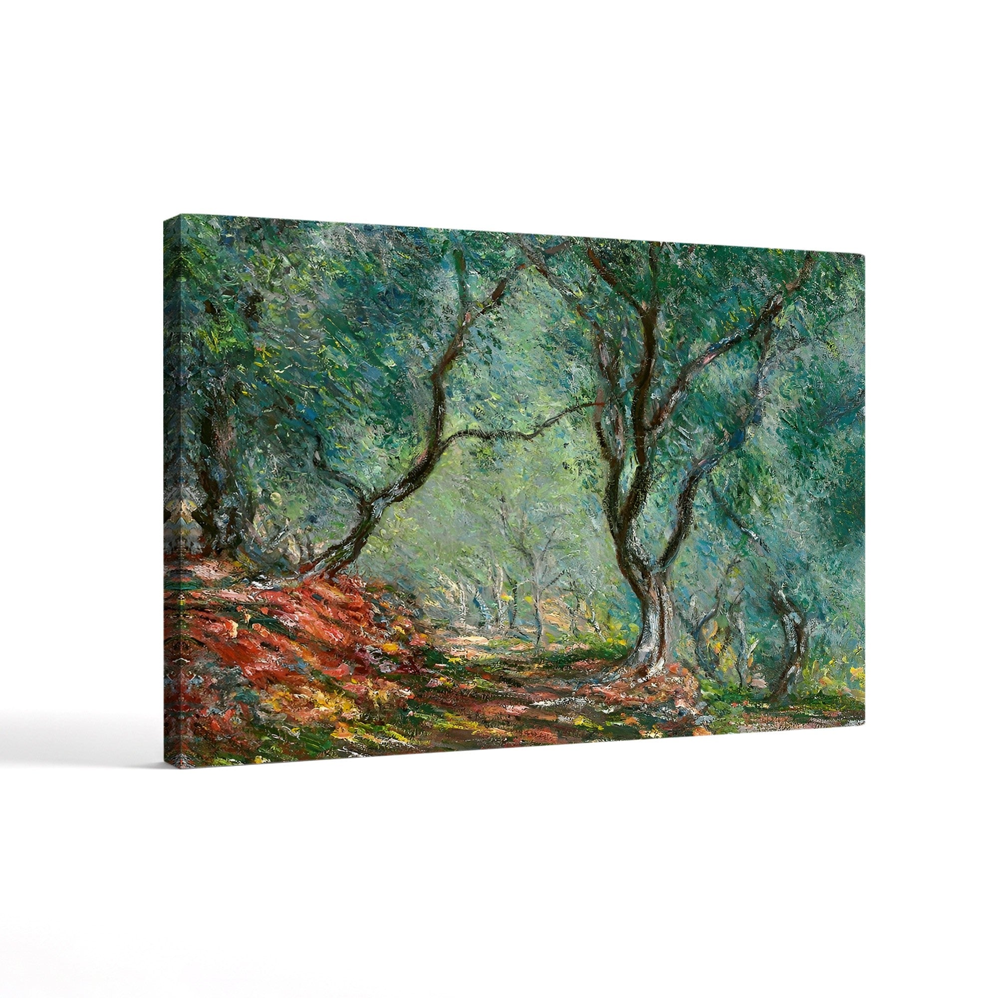 Olive Trees in the Moreno Garden (Bois d’oliviers au jardin Moreno), 1884 by Claude Monet
