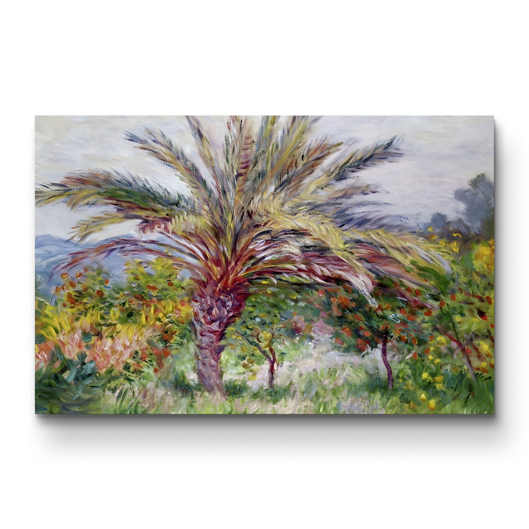 Palm Tree at Bordighera (Palmier à Bordighera), 1884 by Claude Monet