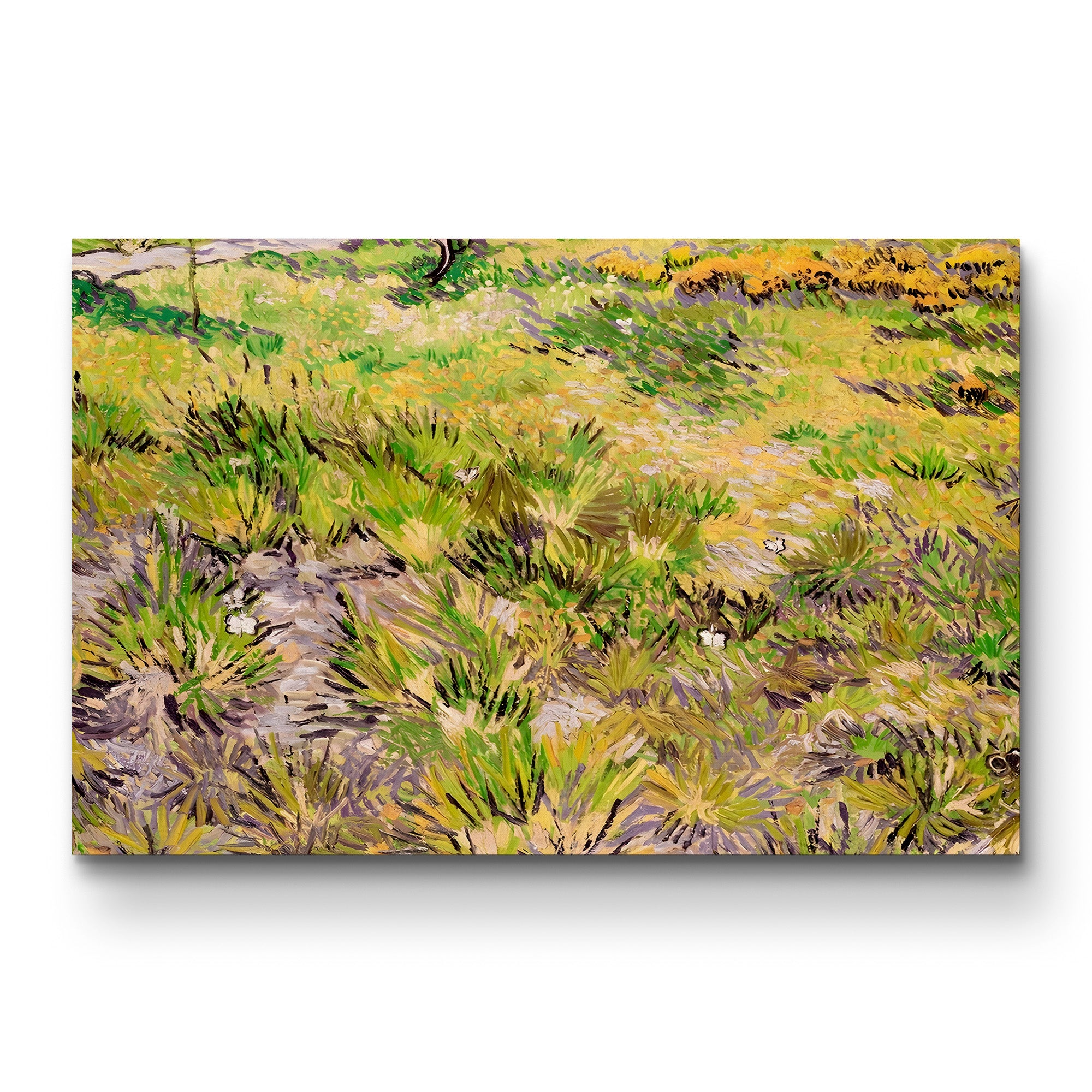 Meadow with Butterflies, 1890 – Vincent van Gogh Wall Art | Post-Impressionist Nature Canvas Print