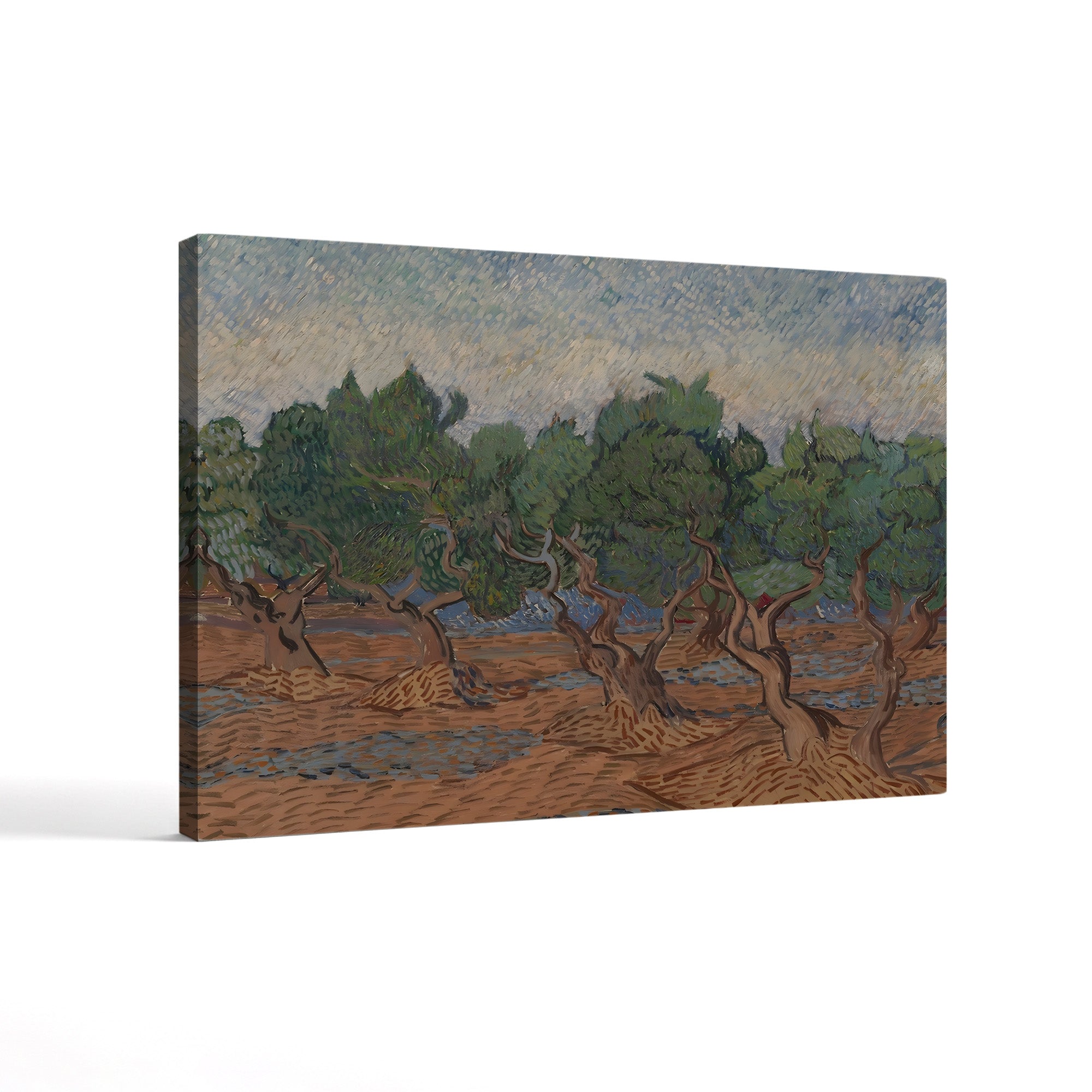 The Olive Grove, 1889 – Vincent van Gogh Wall Art | Post-Impressionist Saint-Rémy Landscape Canvas Print