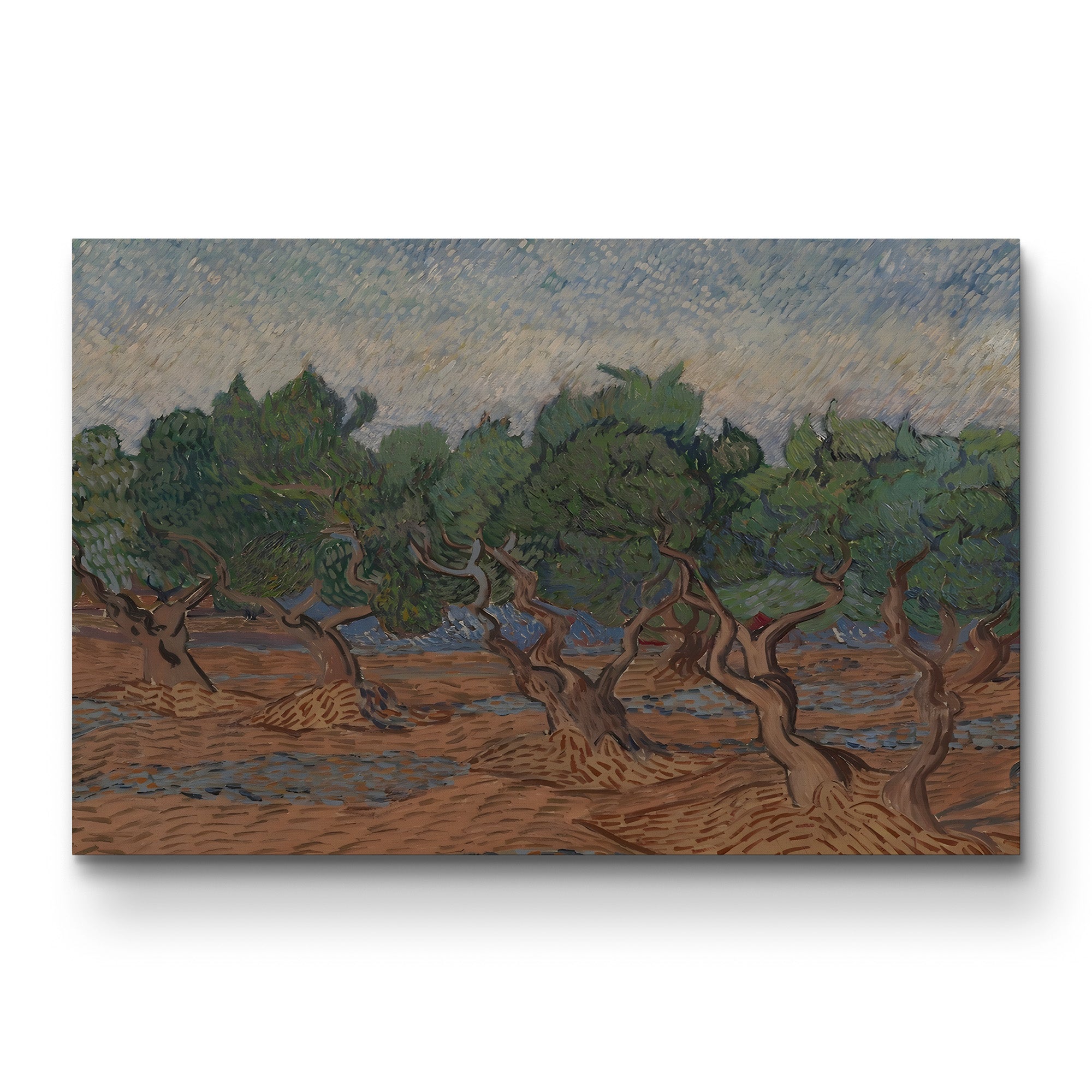 The Olive Grove, 1889 – Vincent van Gogh Wall Art | Post-Impressionist Saint-Rémy Landscape Canvas Print