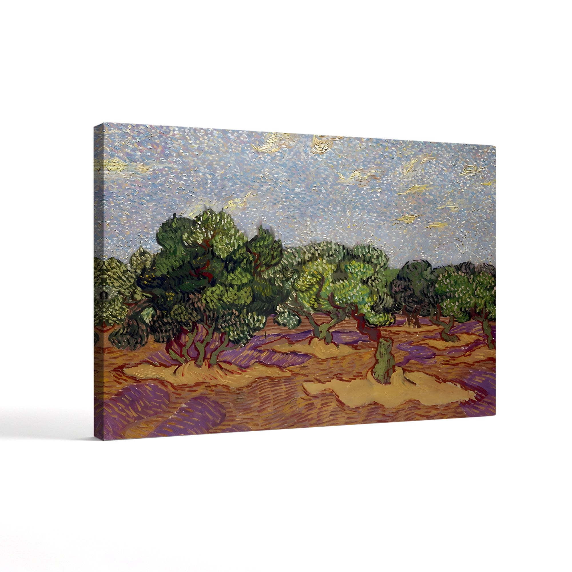 Olive Trees – Vincent van Gogh Wall Art | Post-Impressionist Provençal Canvas Print